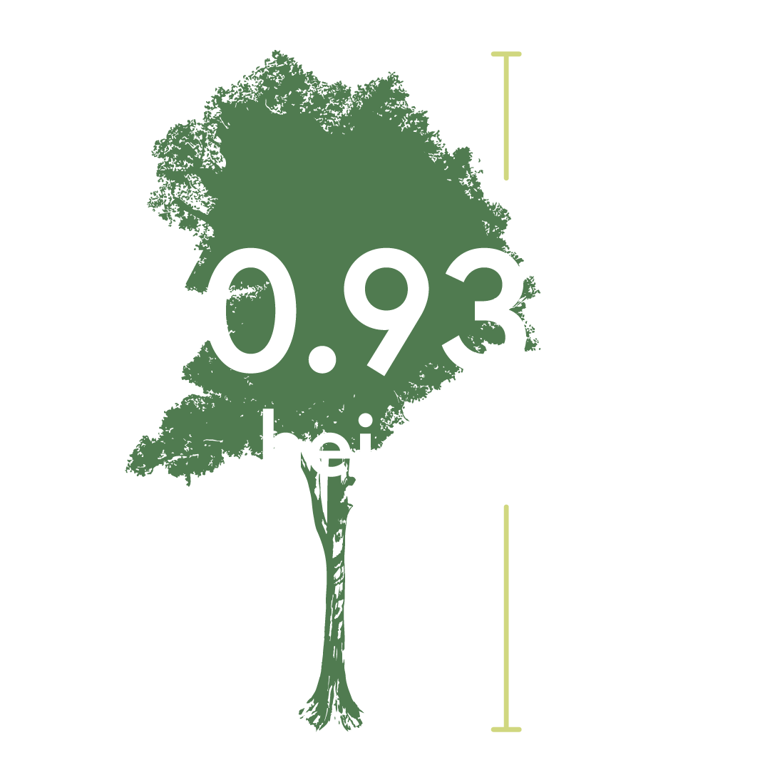 Graphic of a tree with large white text reading “70.93m height” and vertical measurement markers.