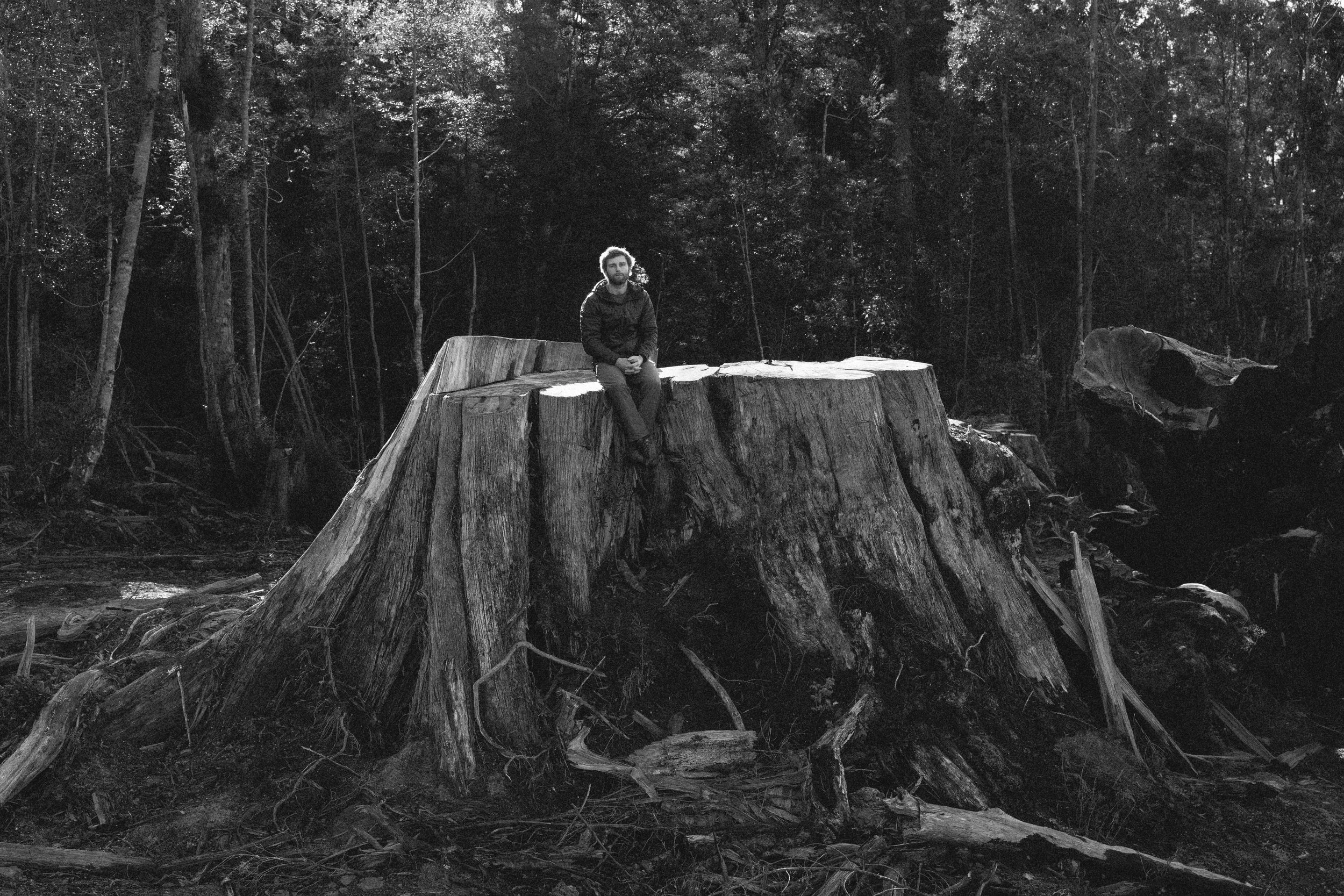 Black-and-white photo of a bearded man sitting on a massive tree stump in a dense forest