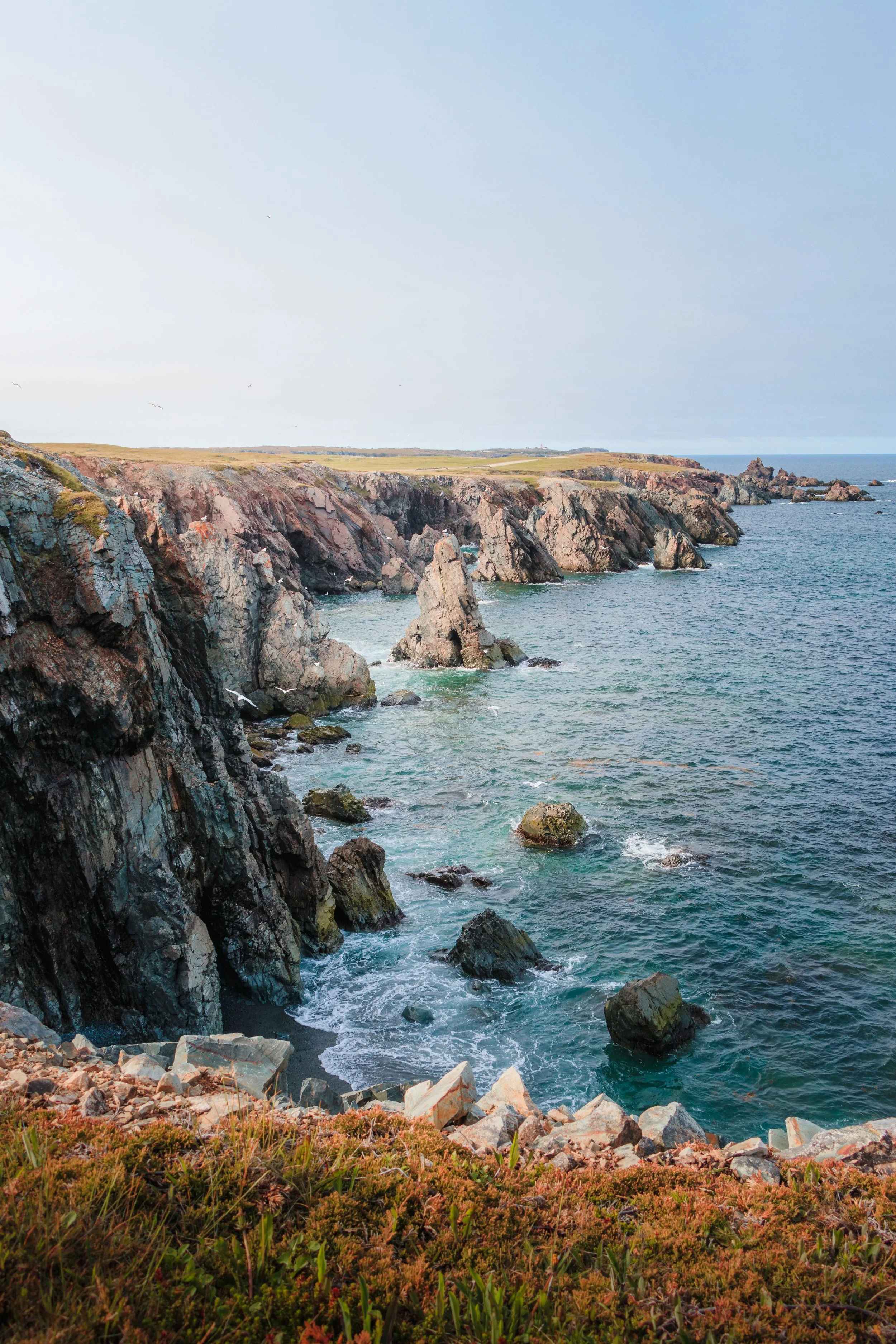 Cape Bonavista NL Coast.jpg
