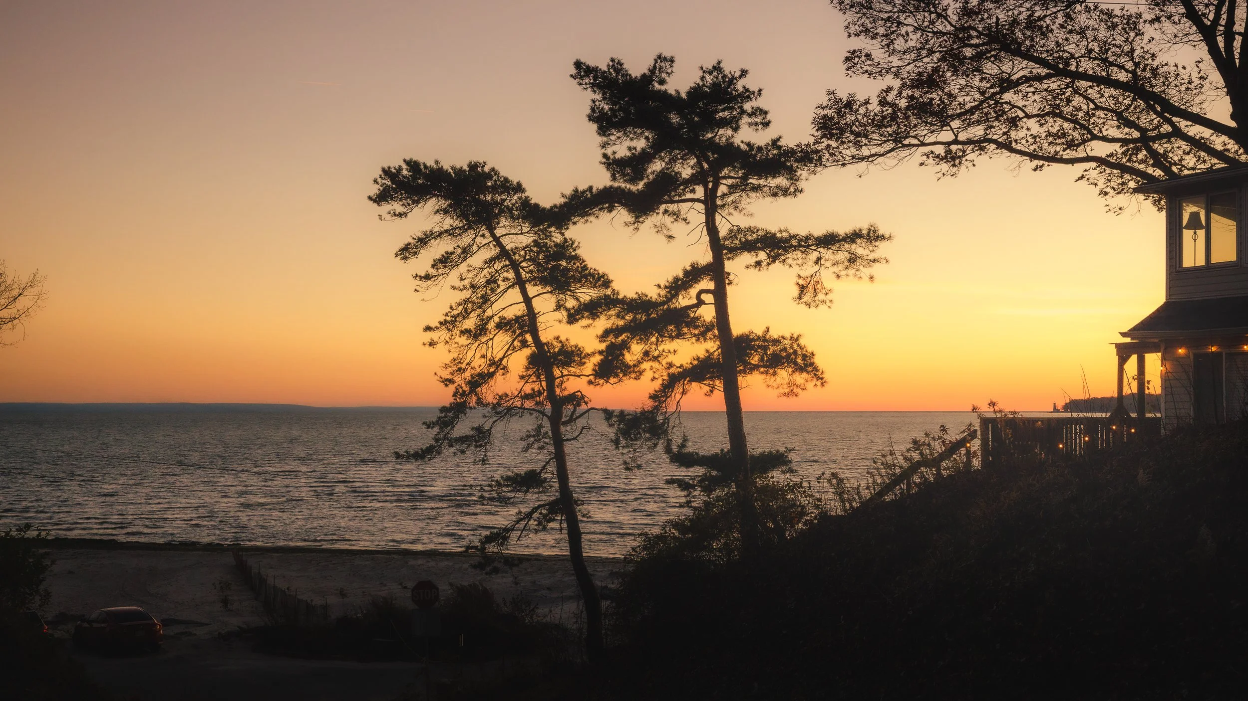 Crystal Beach Tree Silhouette Sunset.jpg
