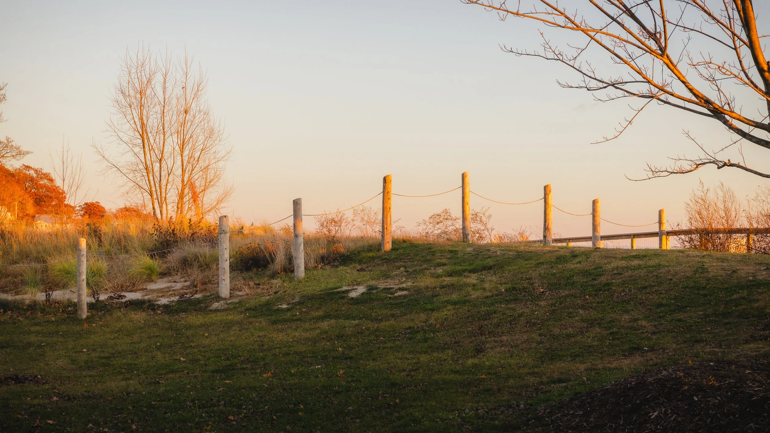 Crystal Beach Fence Golden Hour.jpg