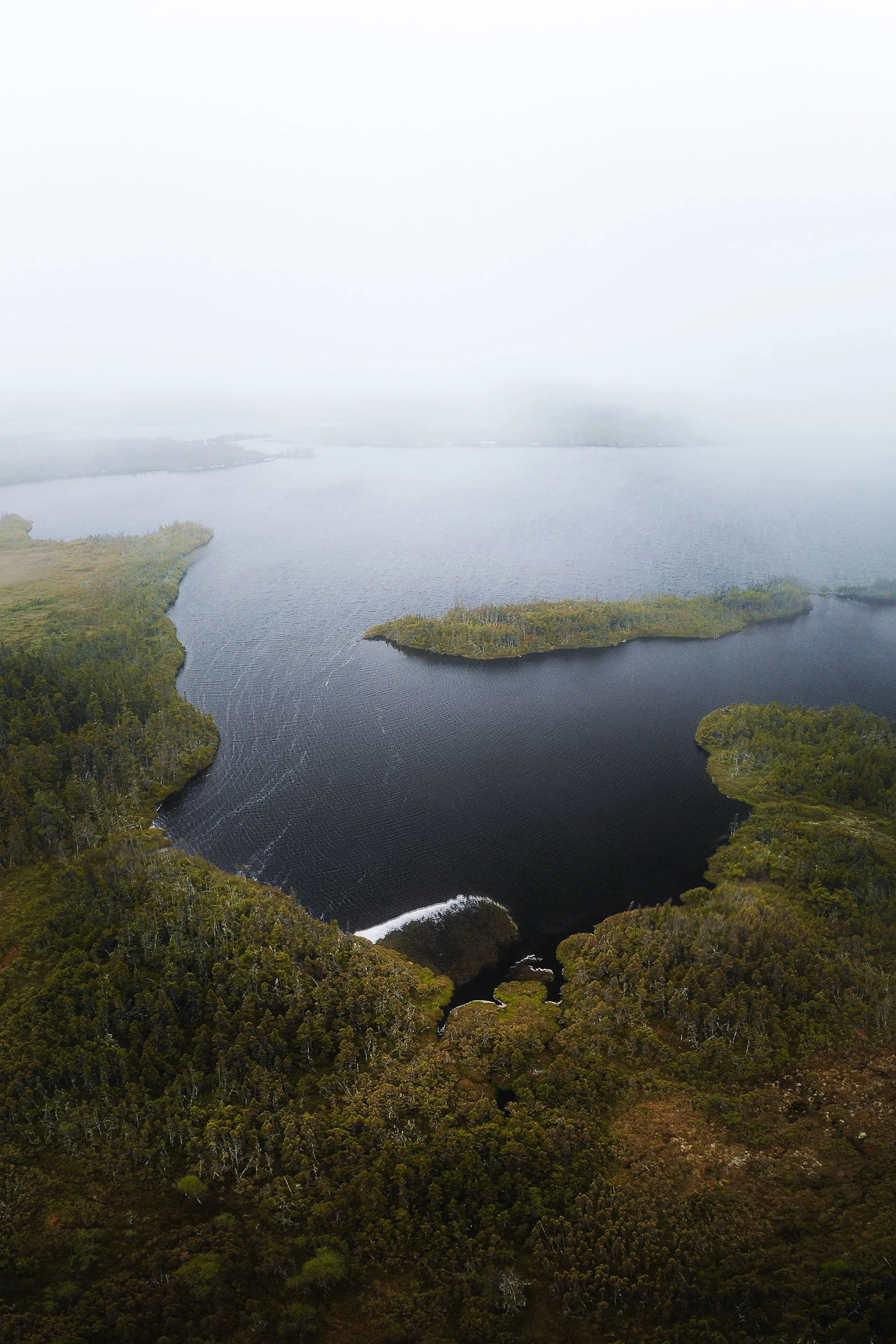 Newfoundland Wetlands Drone Fog.jpg