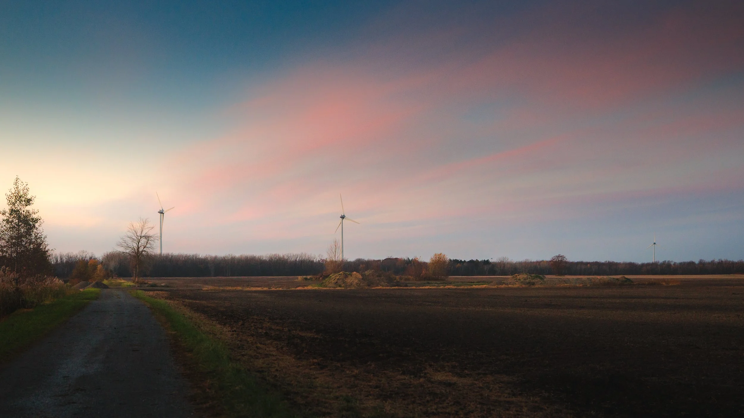 Wainfleet Field Sunset.jpg