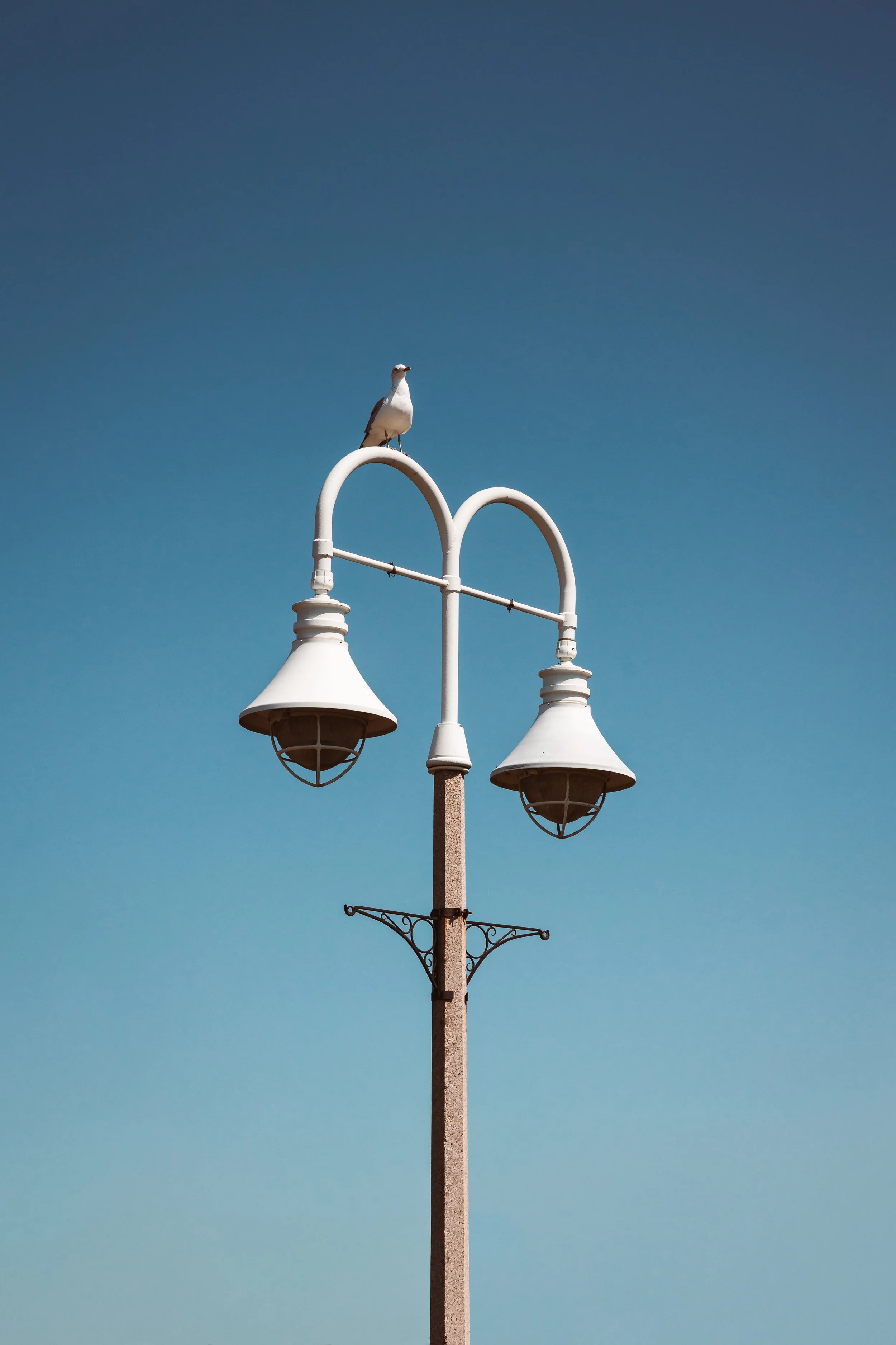 EOSR2686-Edit.jpg