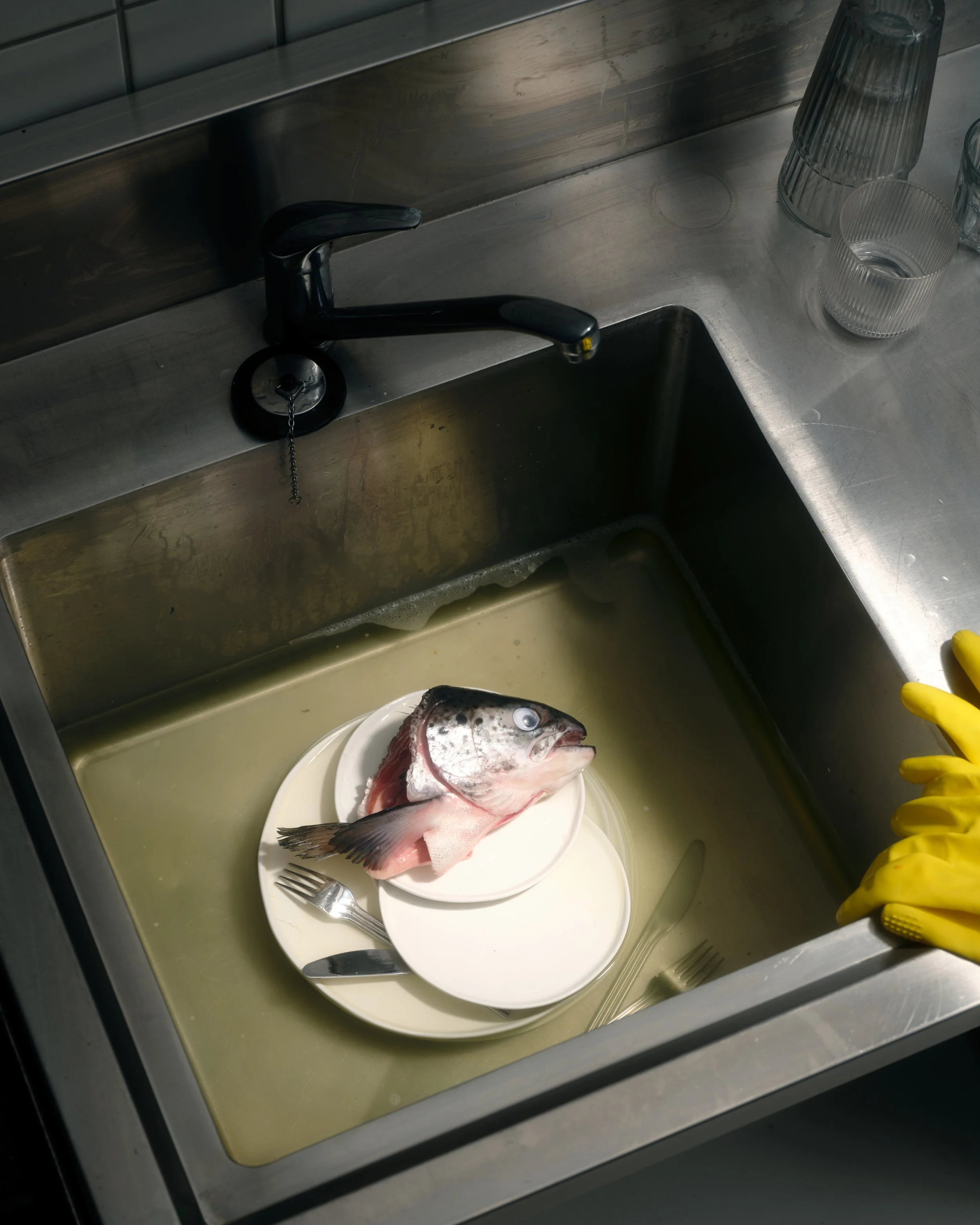 A fish on a white plate inside a stainless steel kitchen sink, with a yellow glove visible and glasses stacked on the counter.