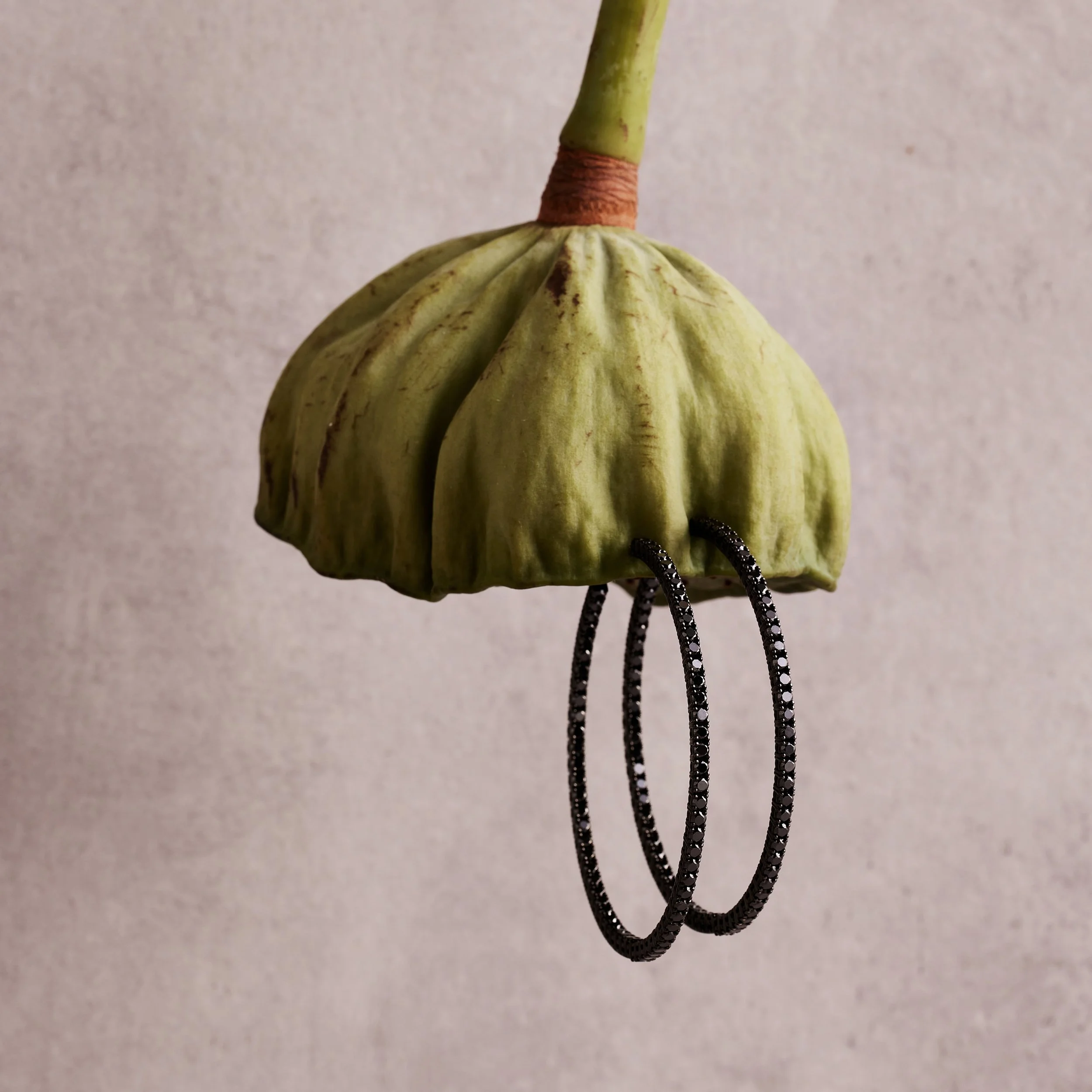A drawing of a flower with a green, ribbed, petal-like top and a brown stem, with dangling black hoop earrings hanging from the petals.