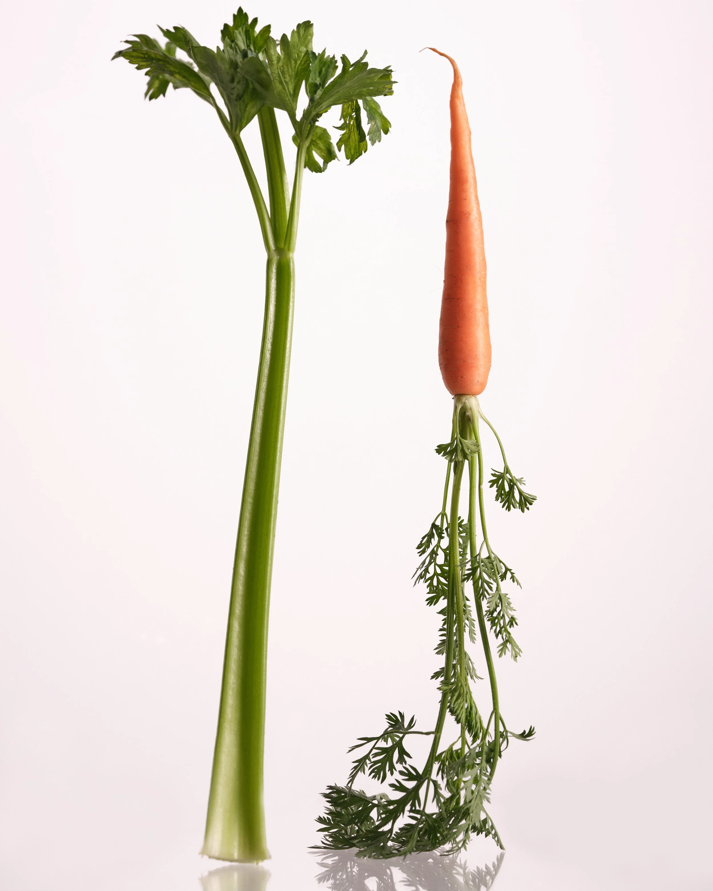 A green celery stalk on the left, an orange carrot in the middle, and green leafy herbs on the right, all standing upright against a plain white background.