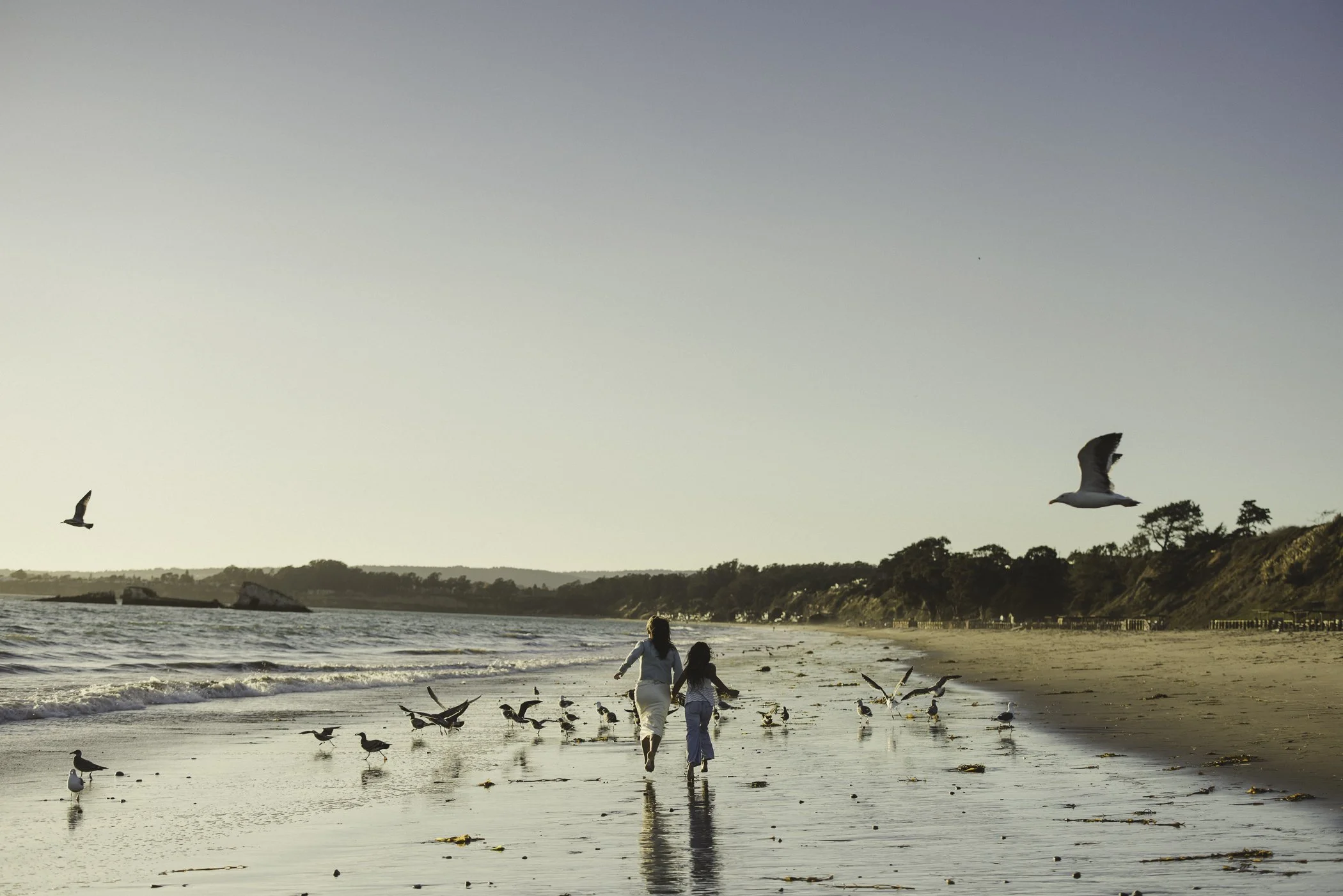 Lifestyle and brand photographer Alicia Telfer — serving Santa Cruz, Monterey, Carmel, and the California coast
