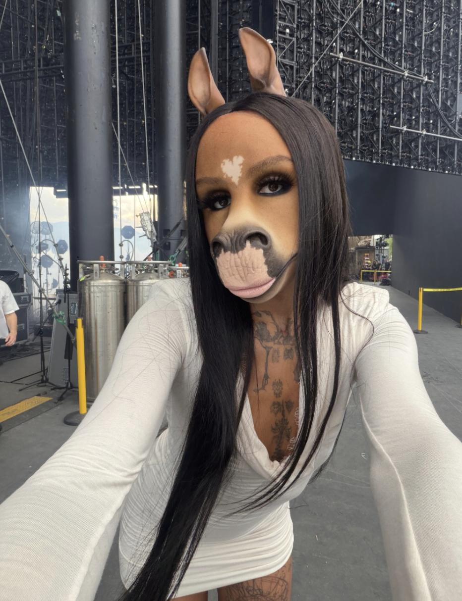 horsegiirL - Coachella