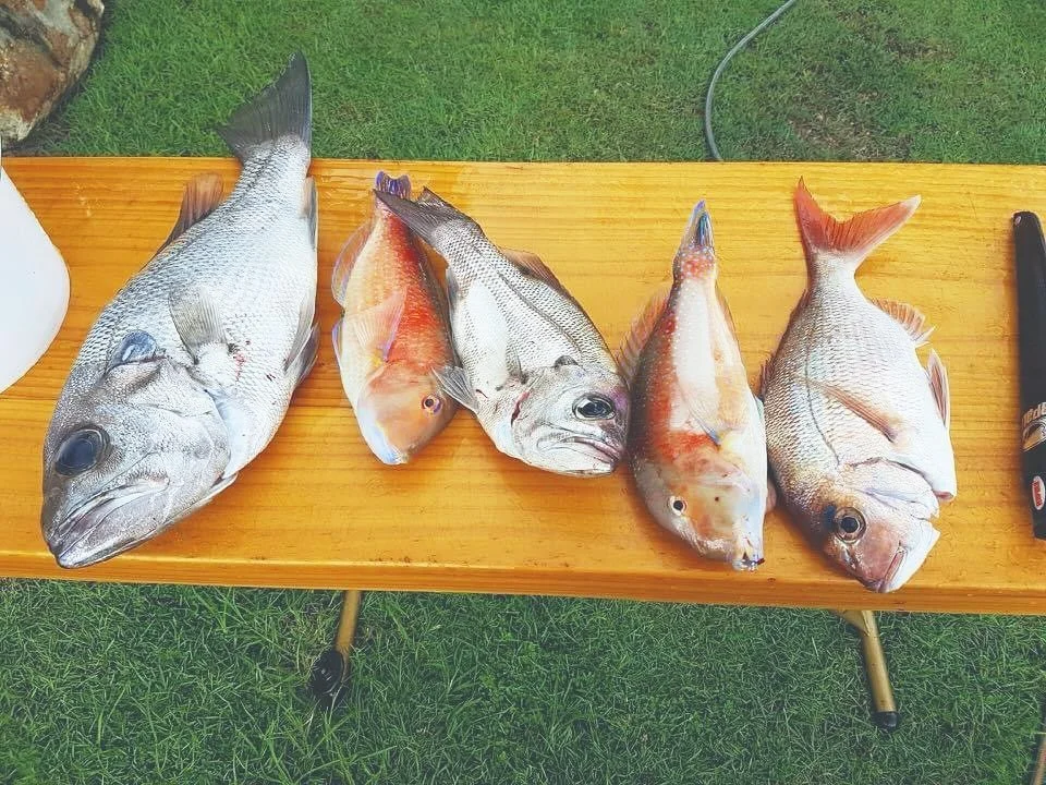 We are itching for another fishing trip 🎣 🎣 🌊 beach, boats? We&rsquo;ve got you sorted!!!