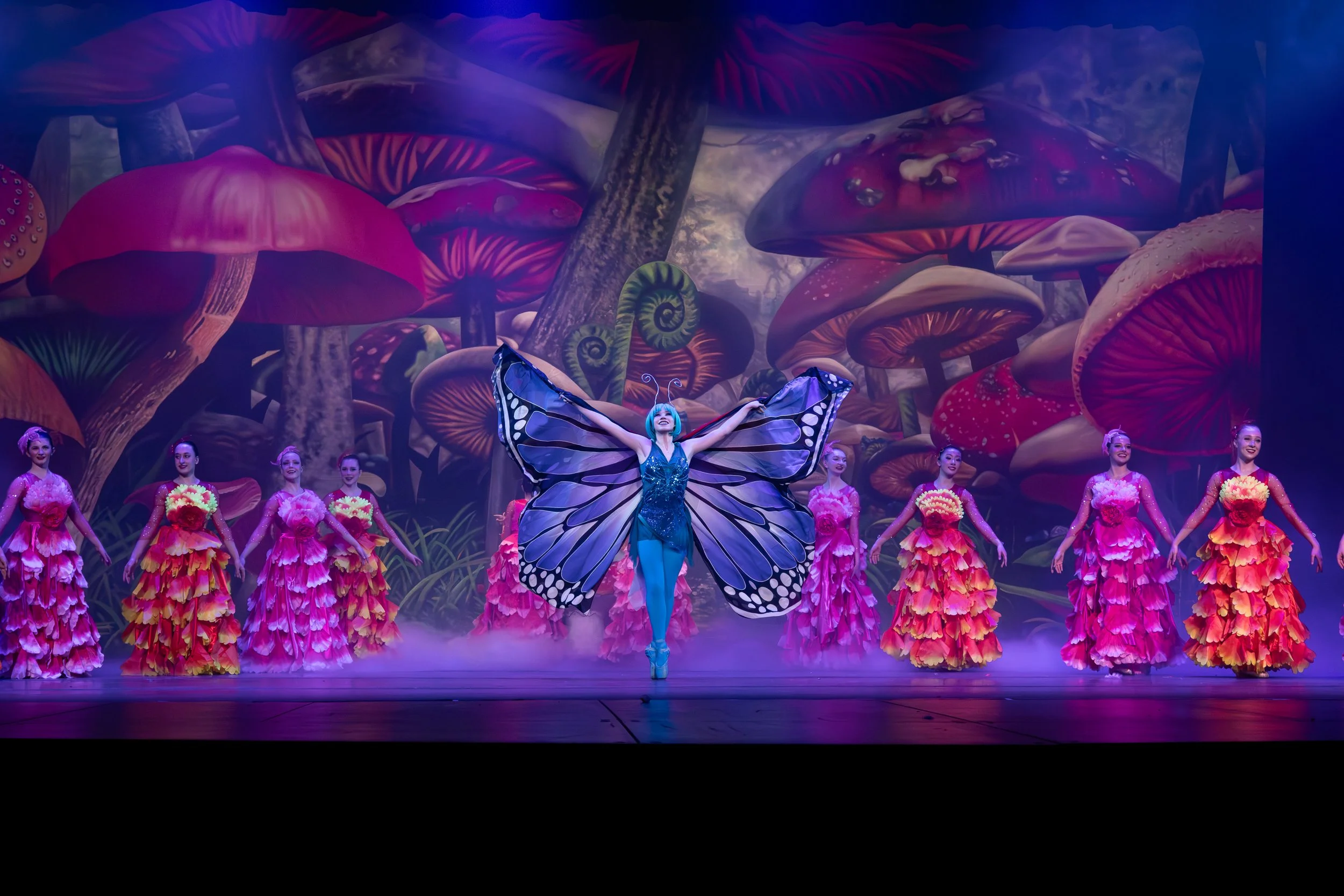 Butterfly 04.jpg