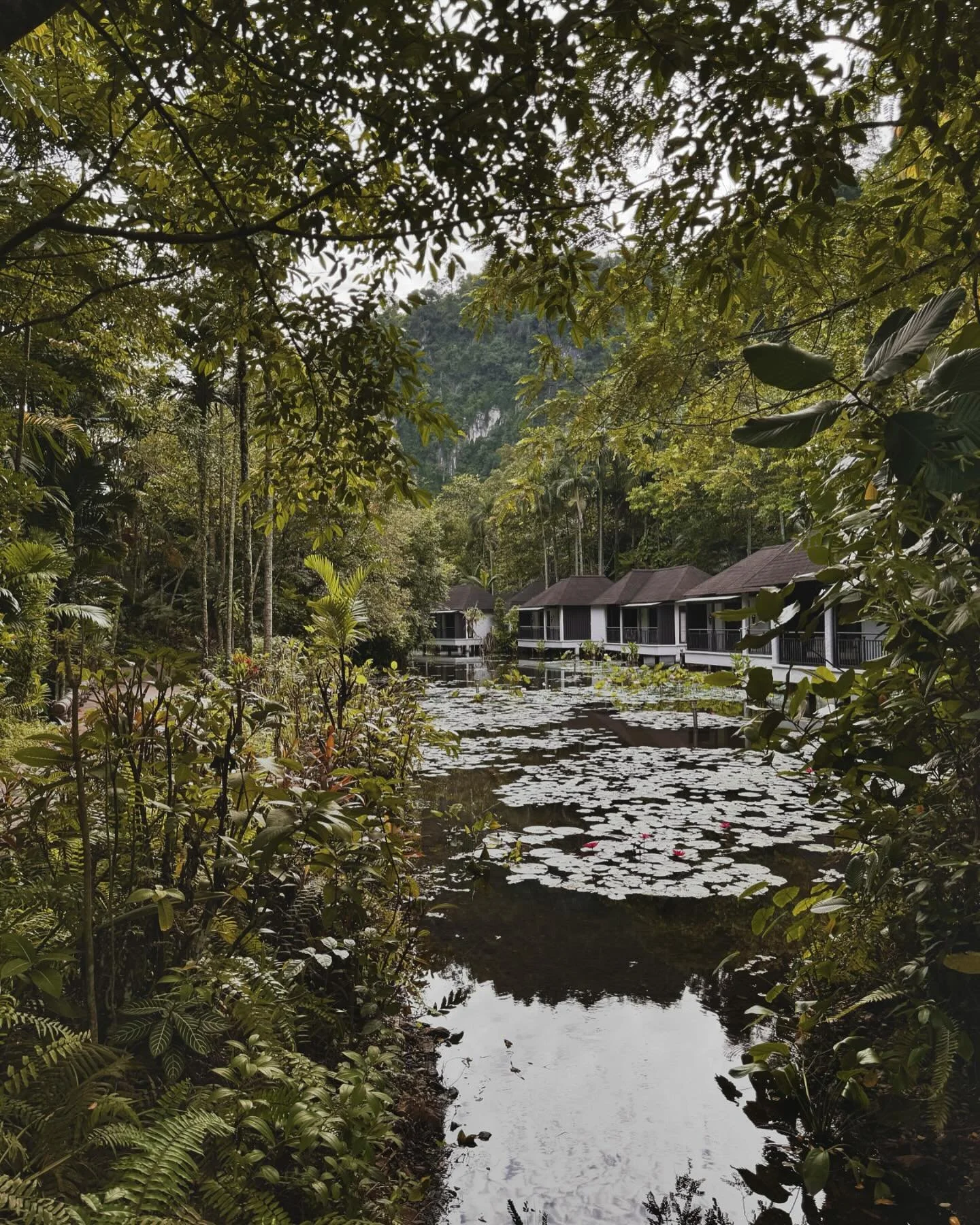 Escape to a sanctuary of tranquility at @thebanjaranhotsprings 🌿✨ Immerse yourself in natural hot springs, rejuvenating spa treatments, and serene cave experiences, all surrounded by lush greenery and limestone hills. Your perfect getaway for rest, 