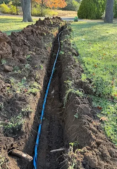 Rectangle 164_6.webp