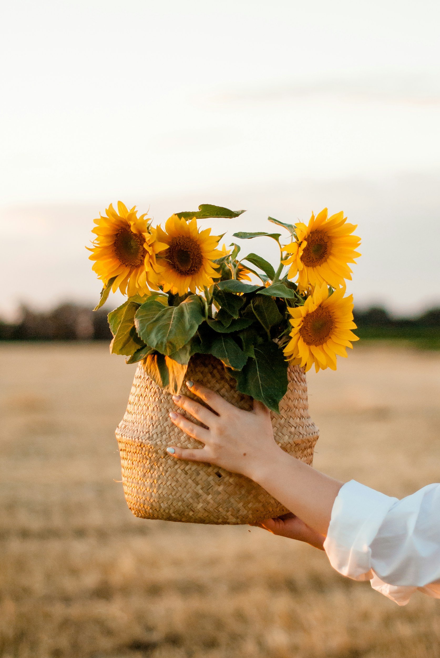 Opening day for U-Pick Flowers and Market Garden