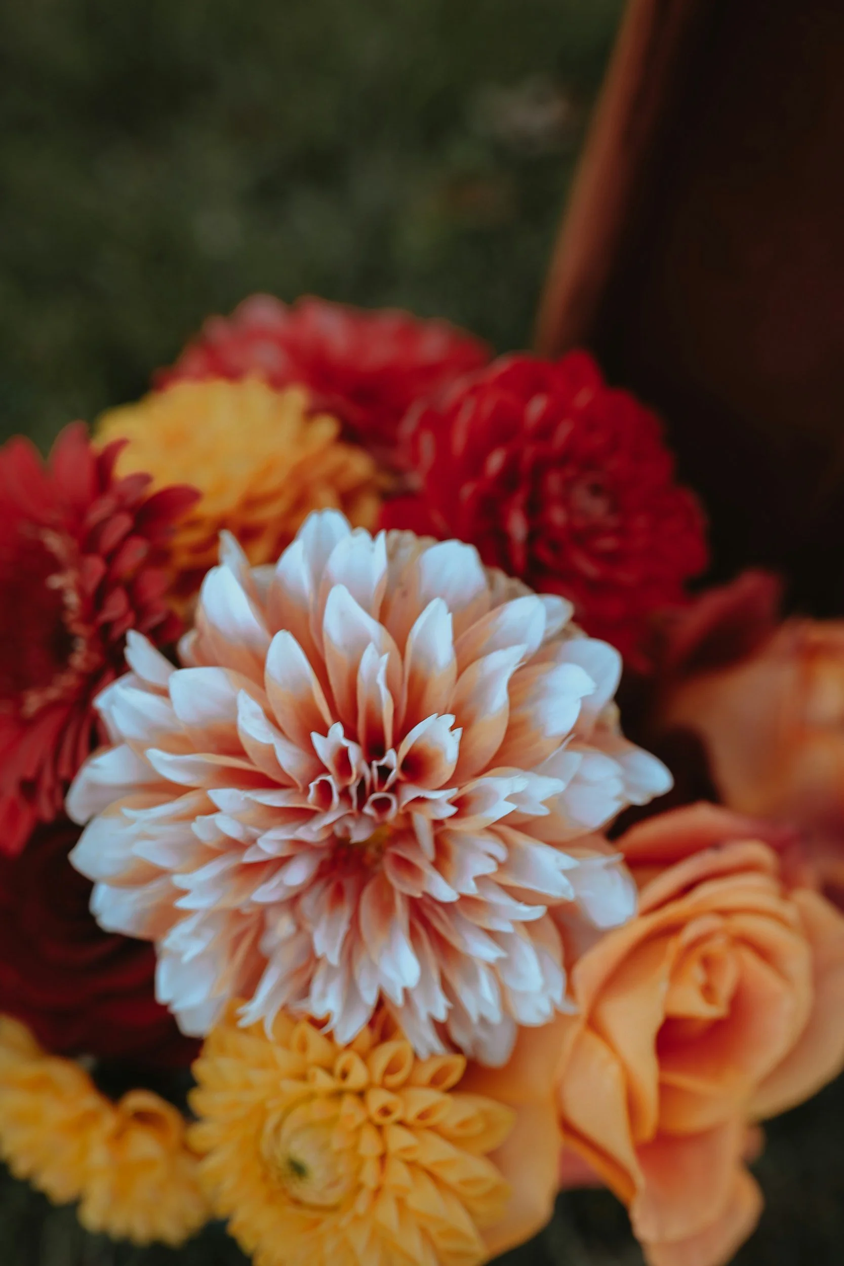 You-Pick Flowers and Farmers Market