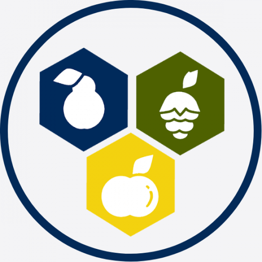 Edible Tree Project Tree & Berry Pruning Workshop