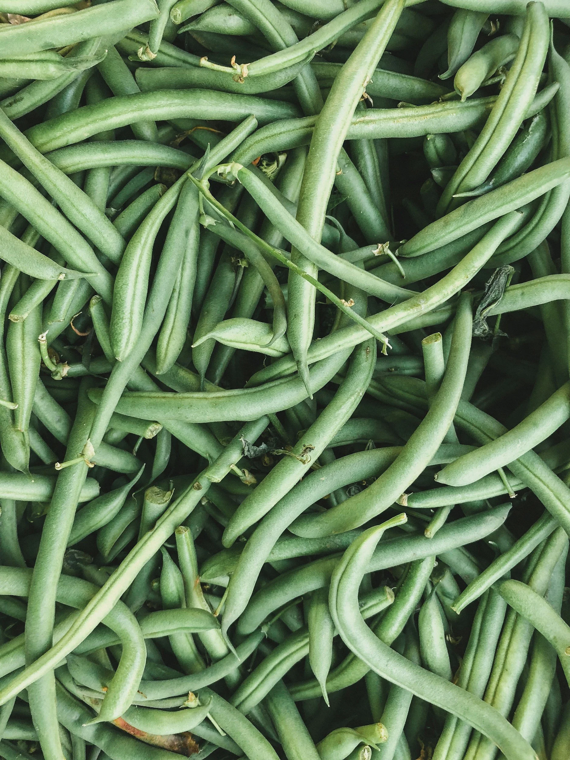 Close-up of green beans piled together.