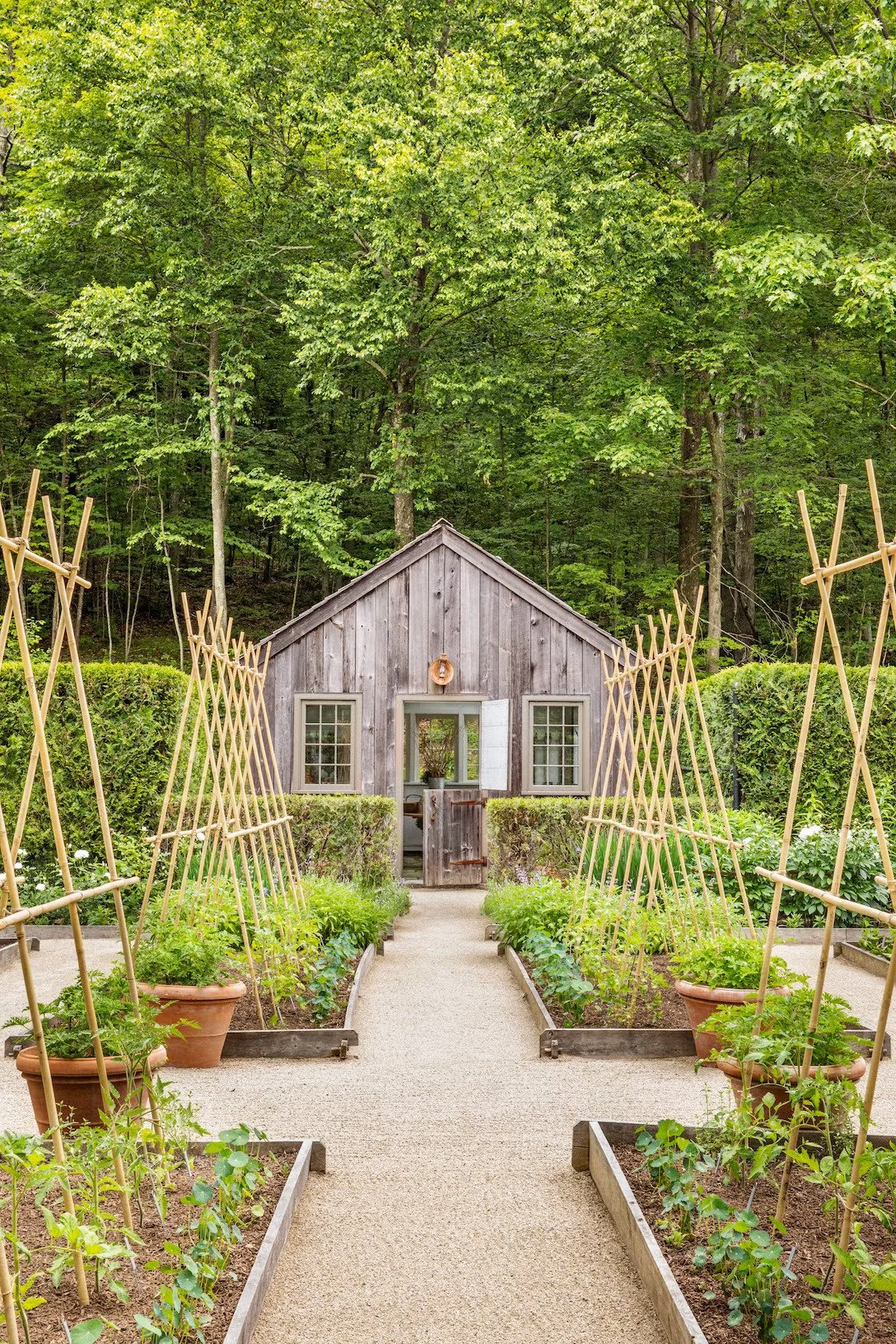 A small wooden garden shed with gray paint and a small window. A pathway leads to the shed, flanked by garden beds with plants and potted plants supported by wooden trellises. In the background, there is a dense forest with tall green trees.