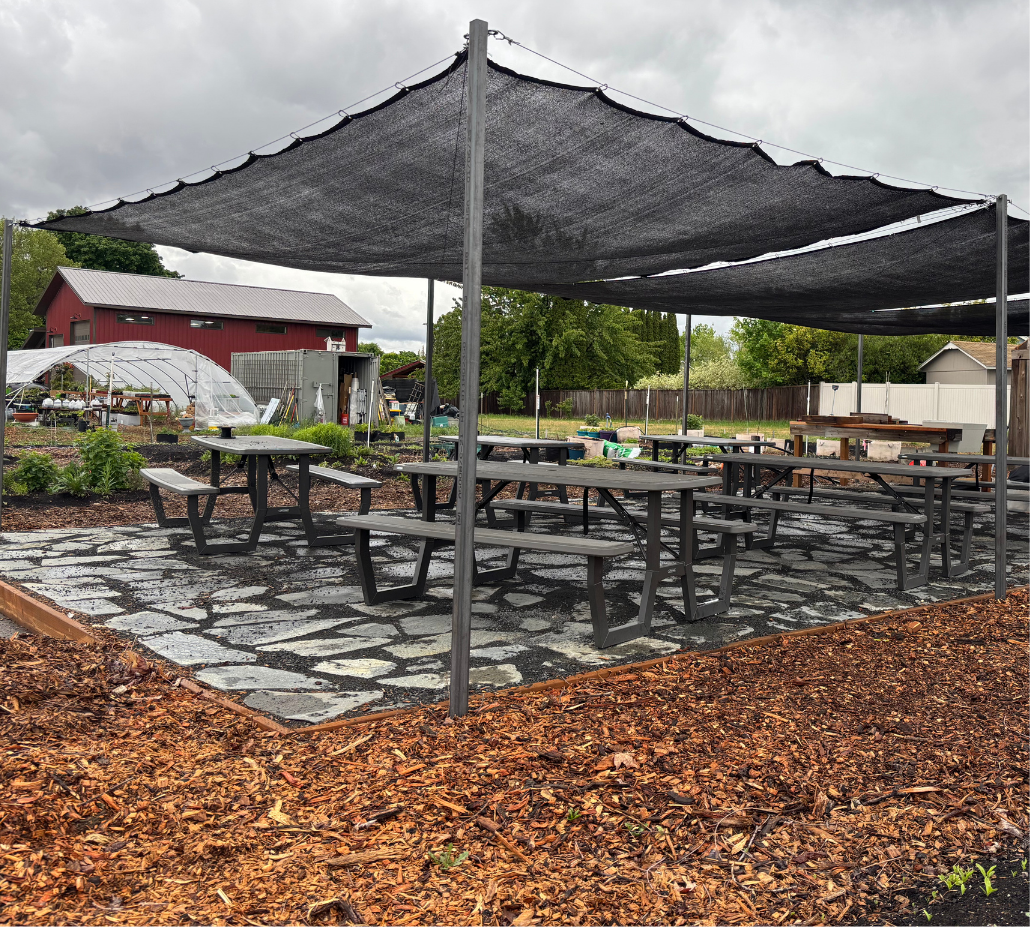Person planting small green seedlings in soil with a wooden raised bed in the background.