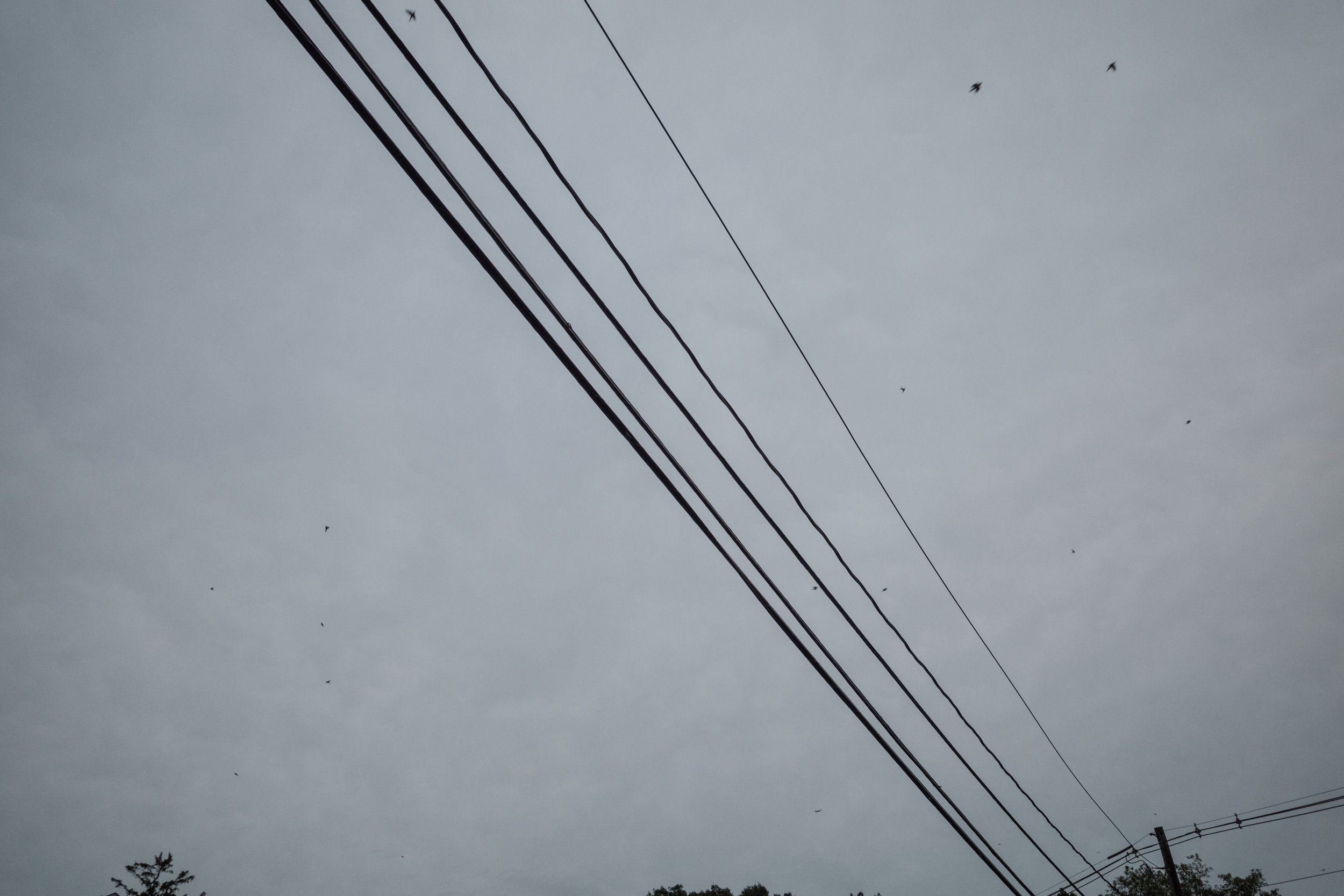 _R001043.jpeg