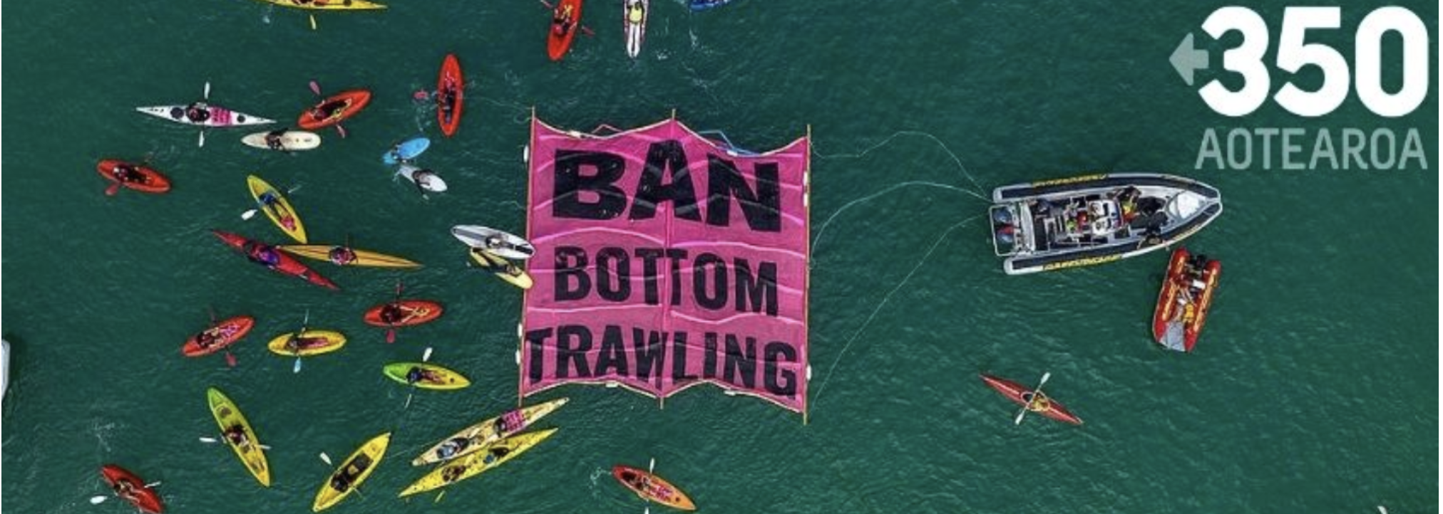 Banner Painting for the Hauraki Gulf