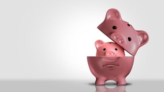 PRNEWS: Downsized Delights: How Shrinkflation Can Chip Away at Brand Equity