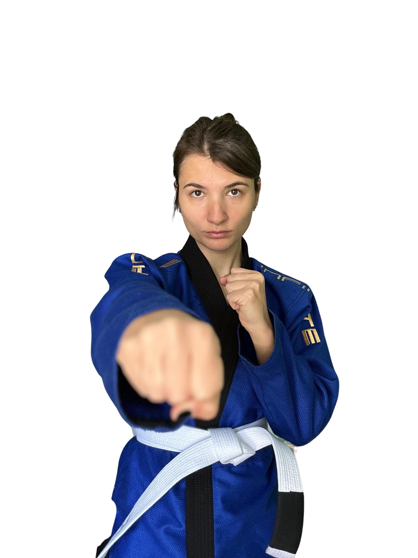 IMG_3359.PNG