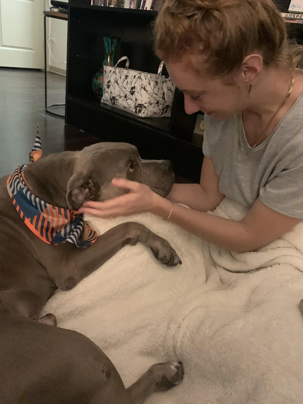 A glad heart ❤️ makes a happy face and a cheerful look brings joy to the heart. 💜 

If you have joy today.

Help bring a smile to someone else and share with them some good news.

Good news can bring for good health.
While broken heart can crushes y