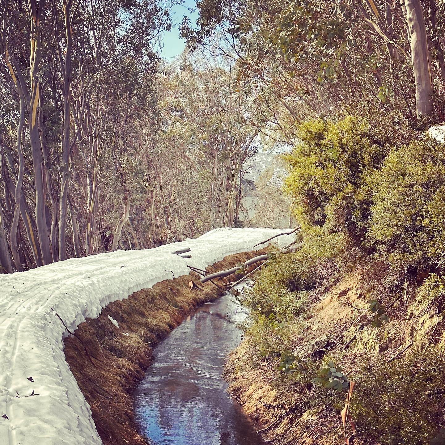 Do you walk the path less traveled? 

Enjoying exploring new paths in Falls Creek&hellip;

A bend in the road is never the end of the road 😉🧡

#naturelover #snow #roadlesstraveled #oneandaum #explore #fallscreek