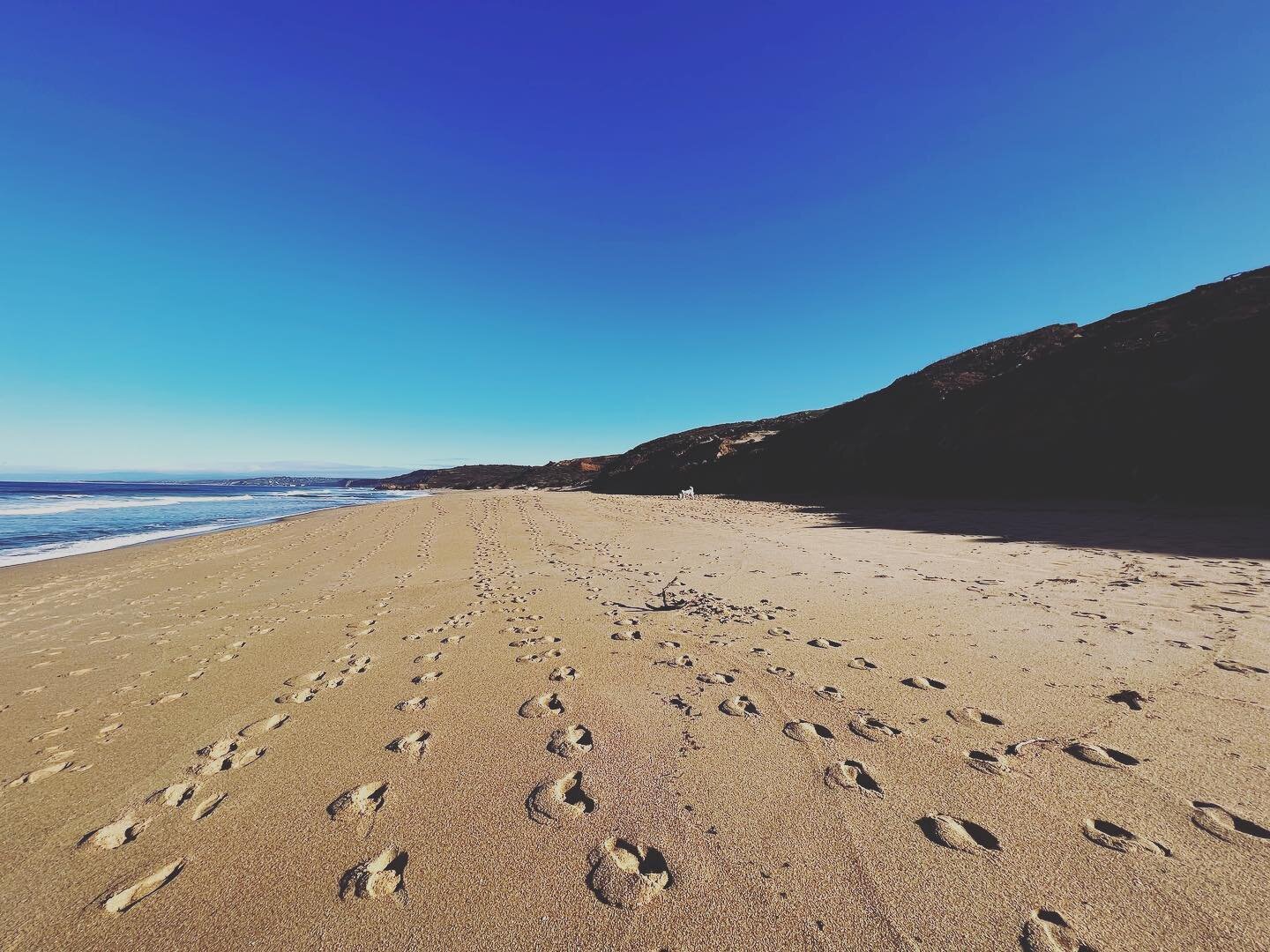 Freedom is oxygen for the soul 🙏🧡

Hoping you&rsquo;re all doing something this Sunday that makes you feel infinite ✨

#sundaystroll #freedom #greatoceanroad #oneandaum #naturelover