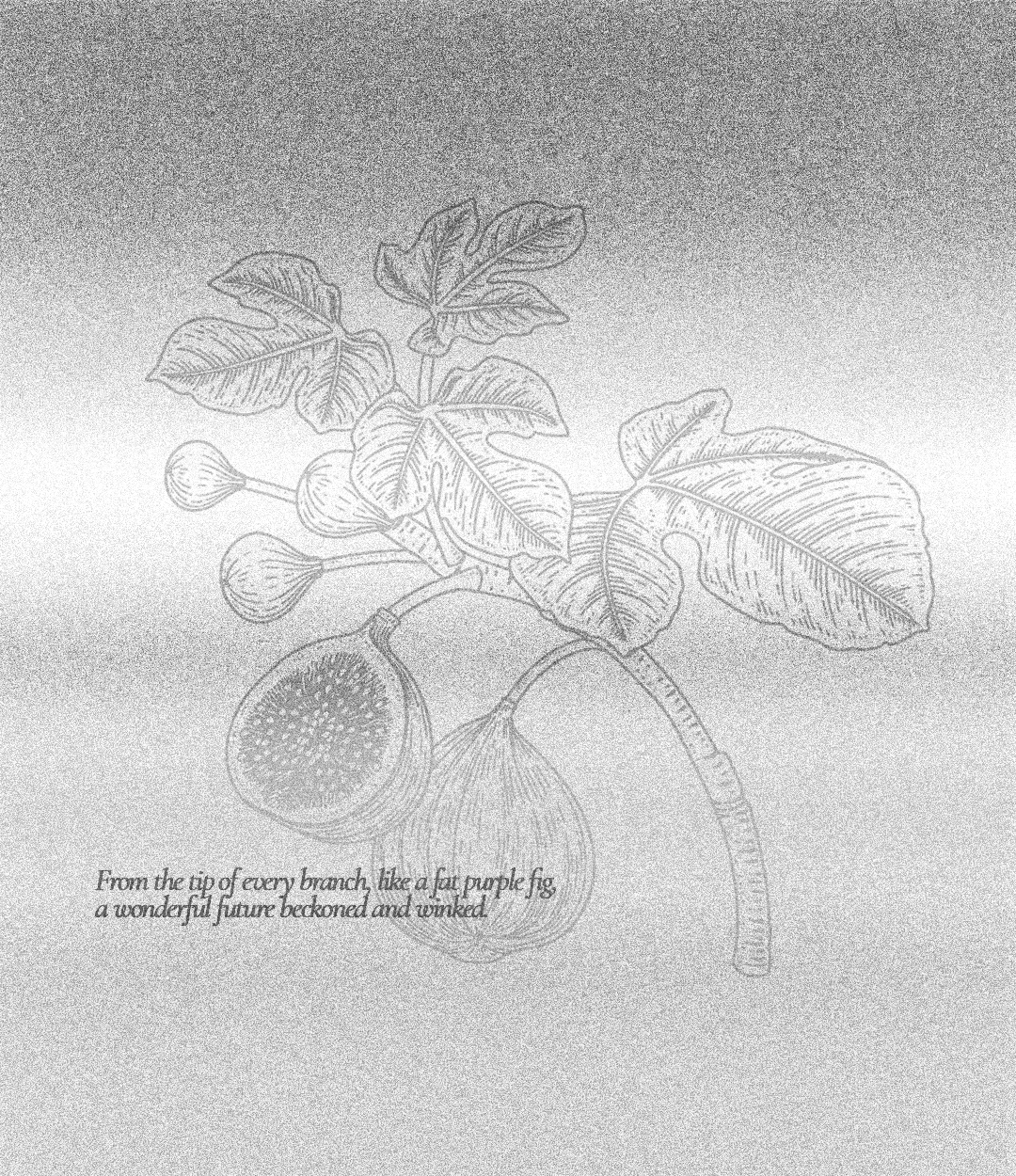 a fat purple fig.png