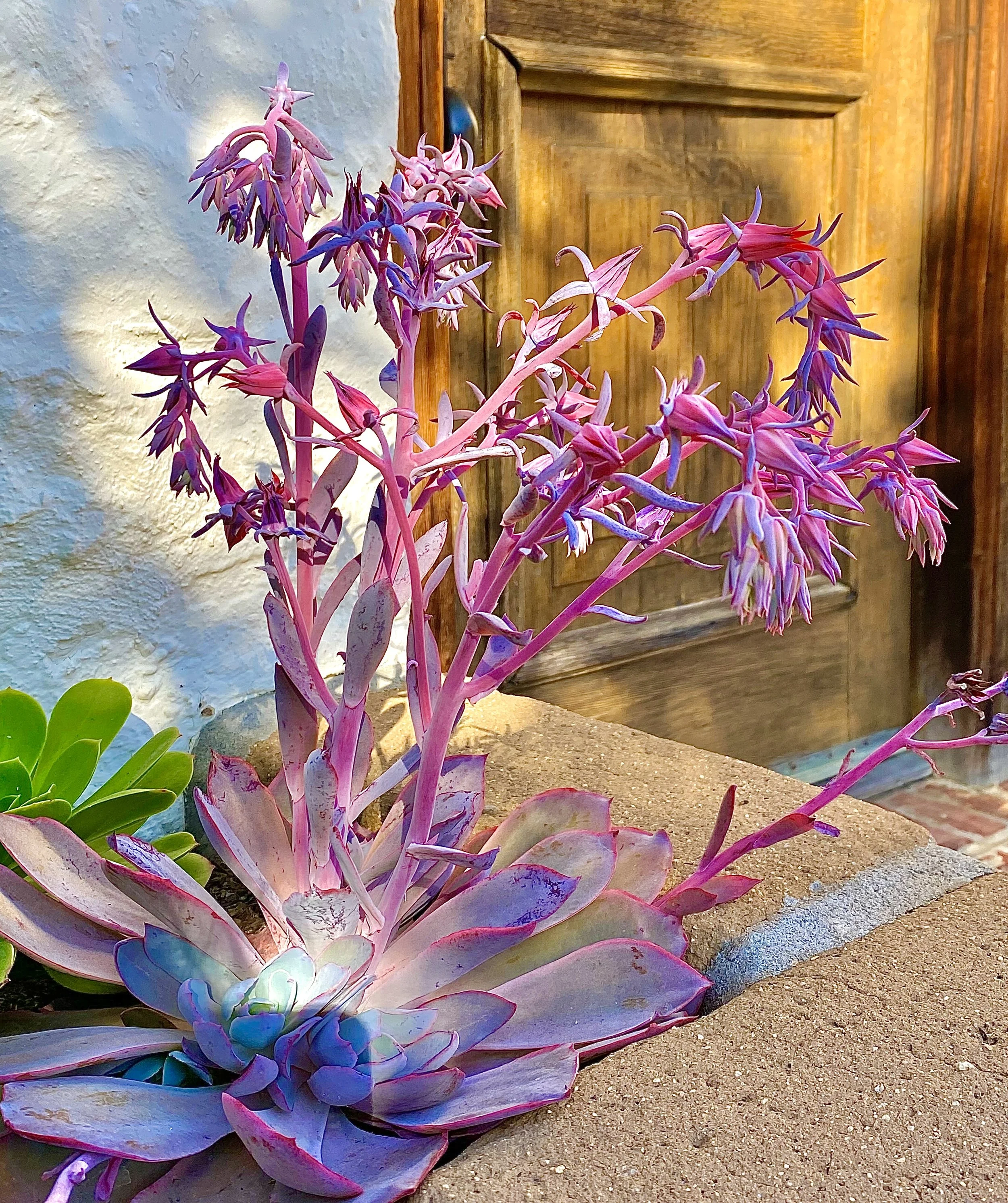 image_67526913.jpg