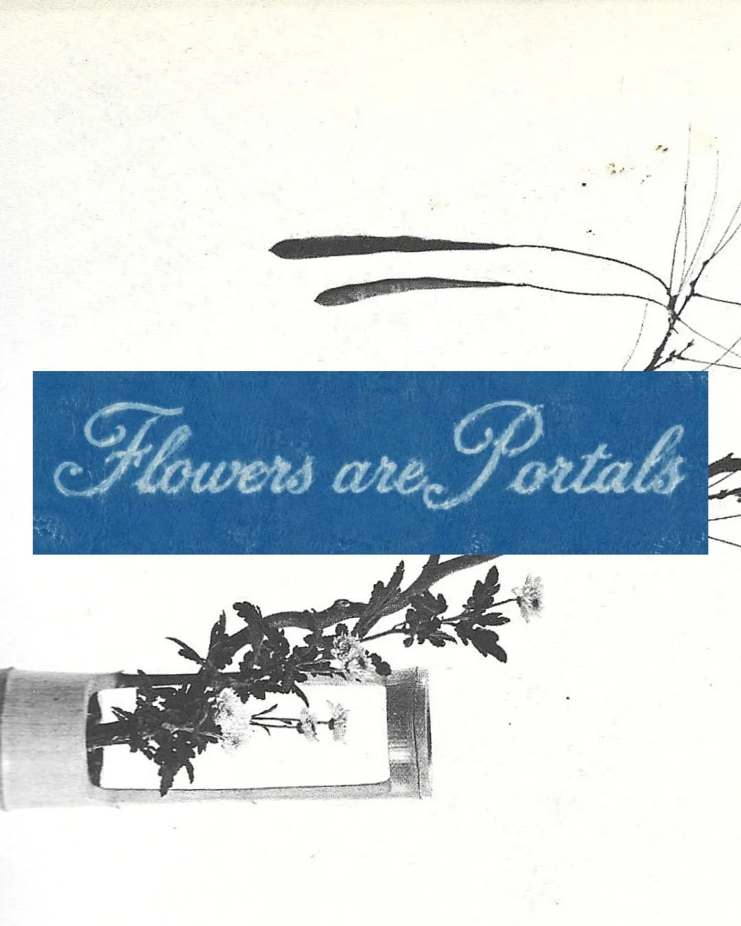 Flowers are Portals