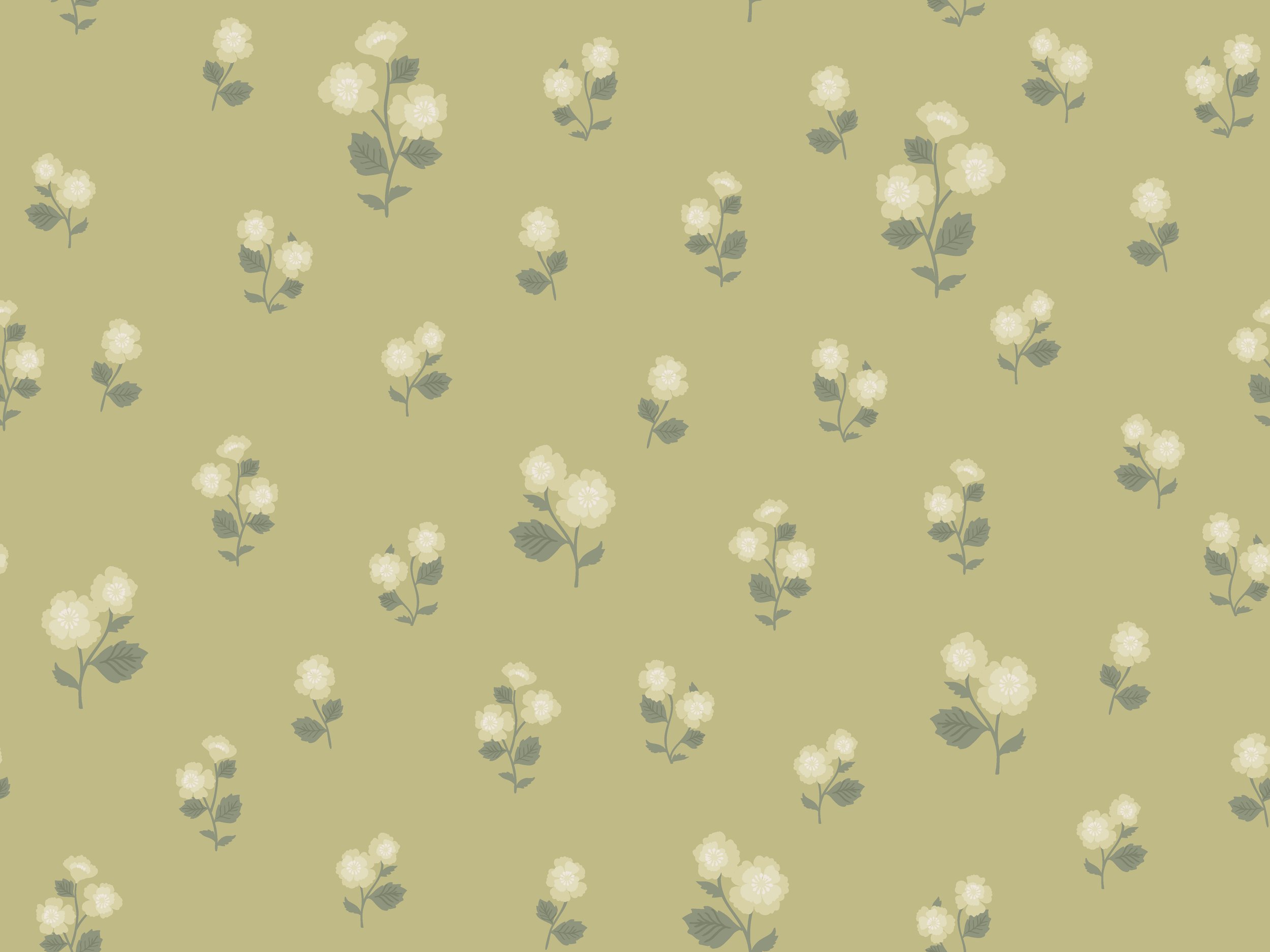 PRIMROSE SAGE