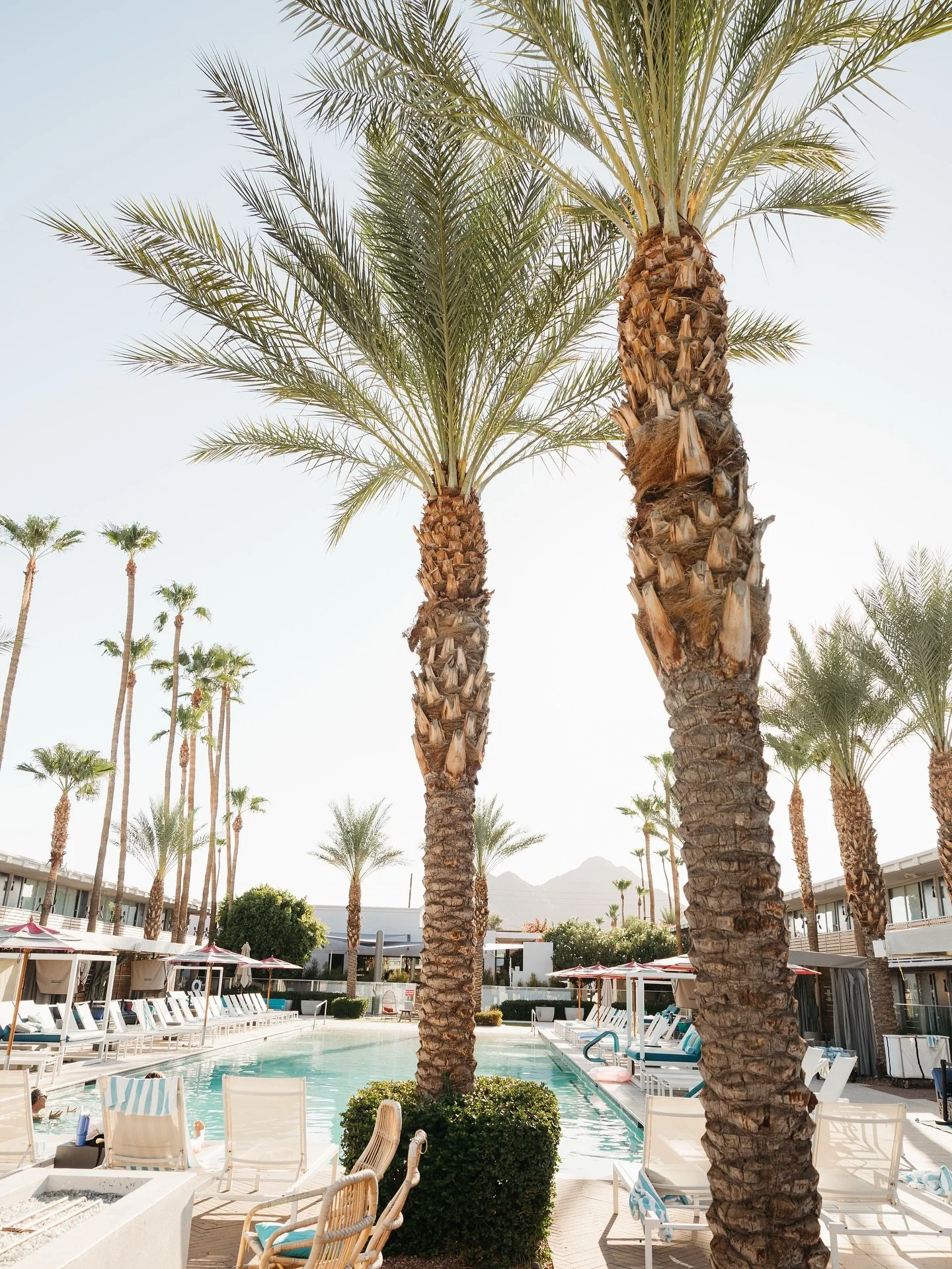This dreamy photoshoot for our client @hoteladeline has us wishing this was our office everyday😍

Our campaign for this summer was to promote a relaxing and romantic staycation experience for local couples who don&rsquo;t have time to book an inters
