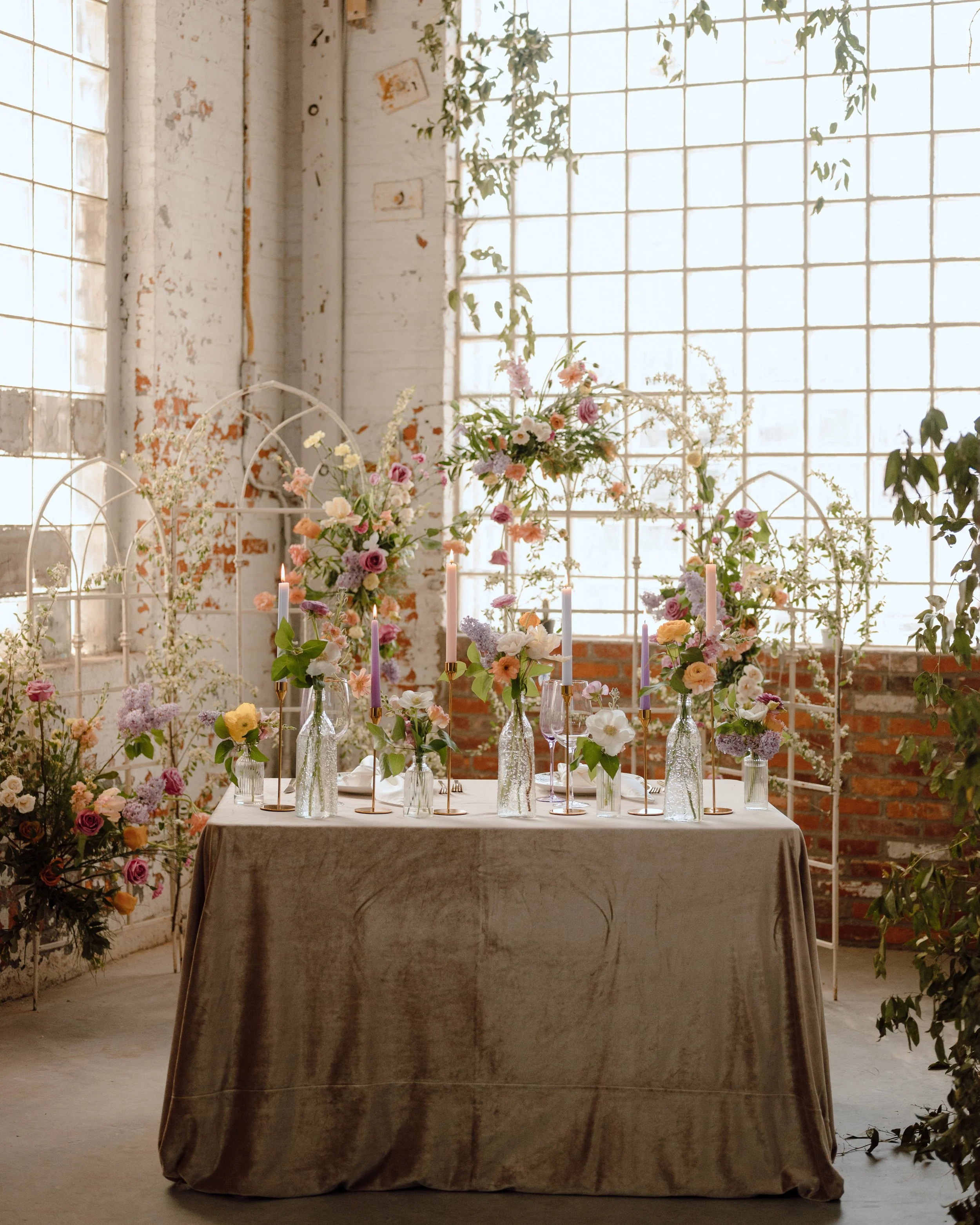 image_6483441 (45).JPG