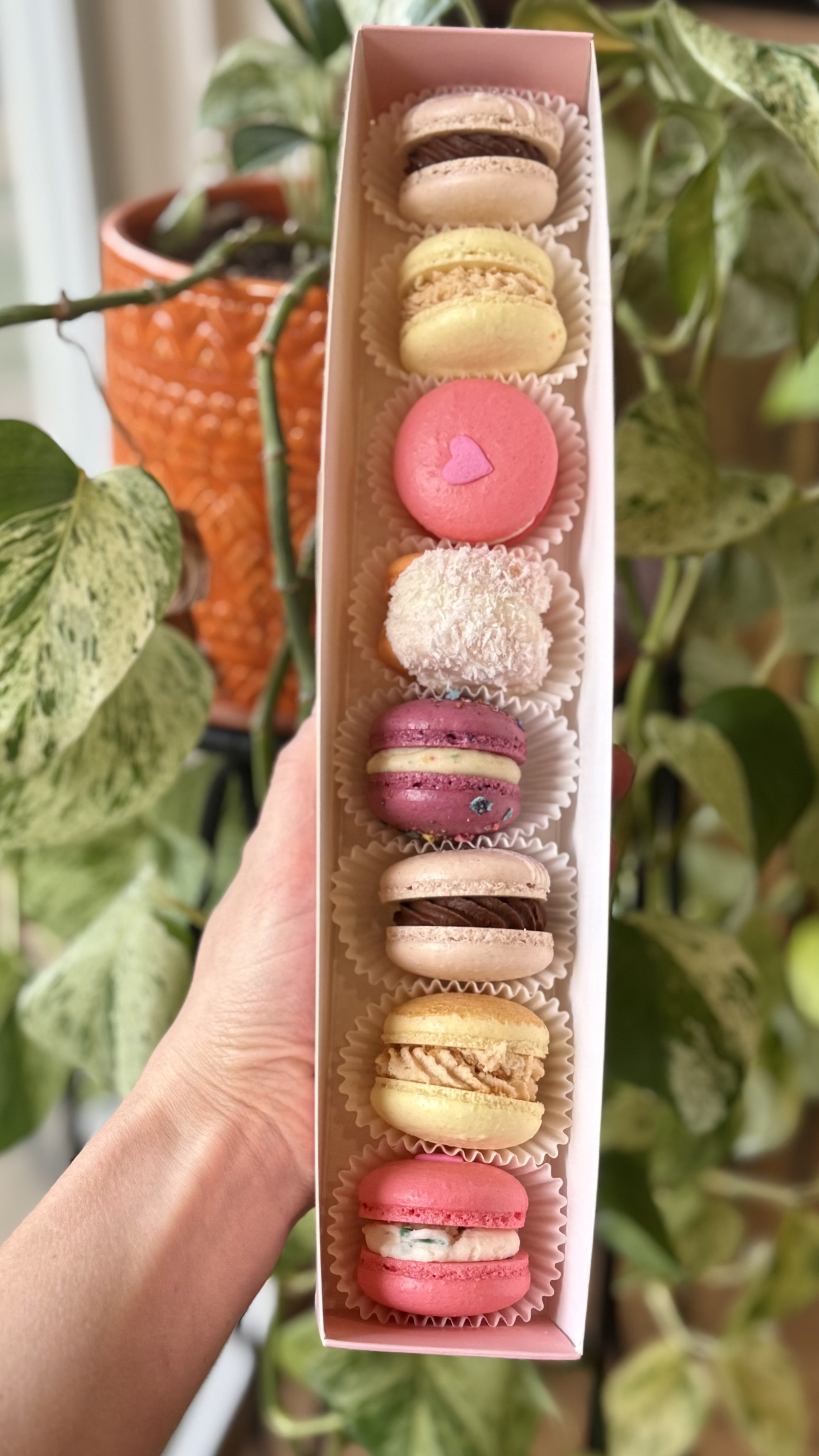 Valentines Mixed Macaron Pack (Add-On)