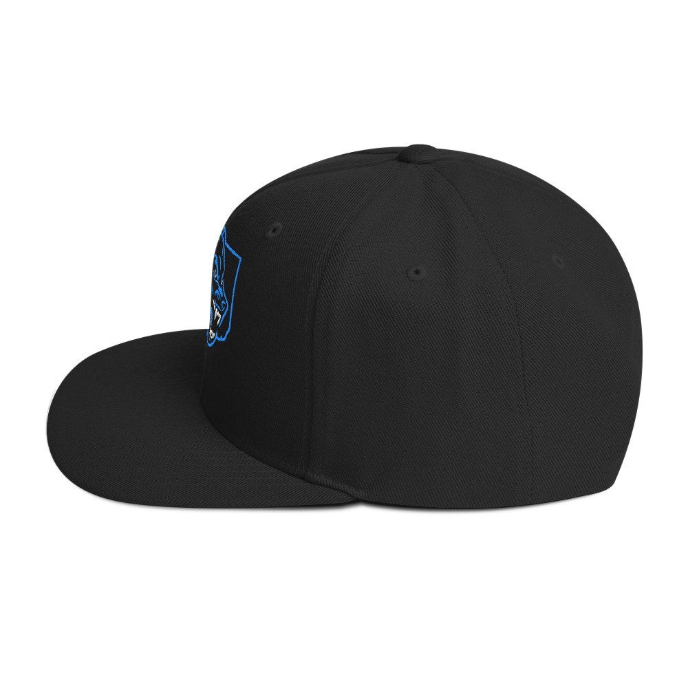 classic-snapback-black-left-side-68641d22a3e2a.jpg
