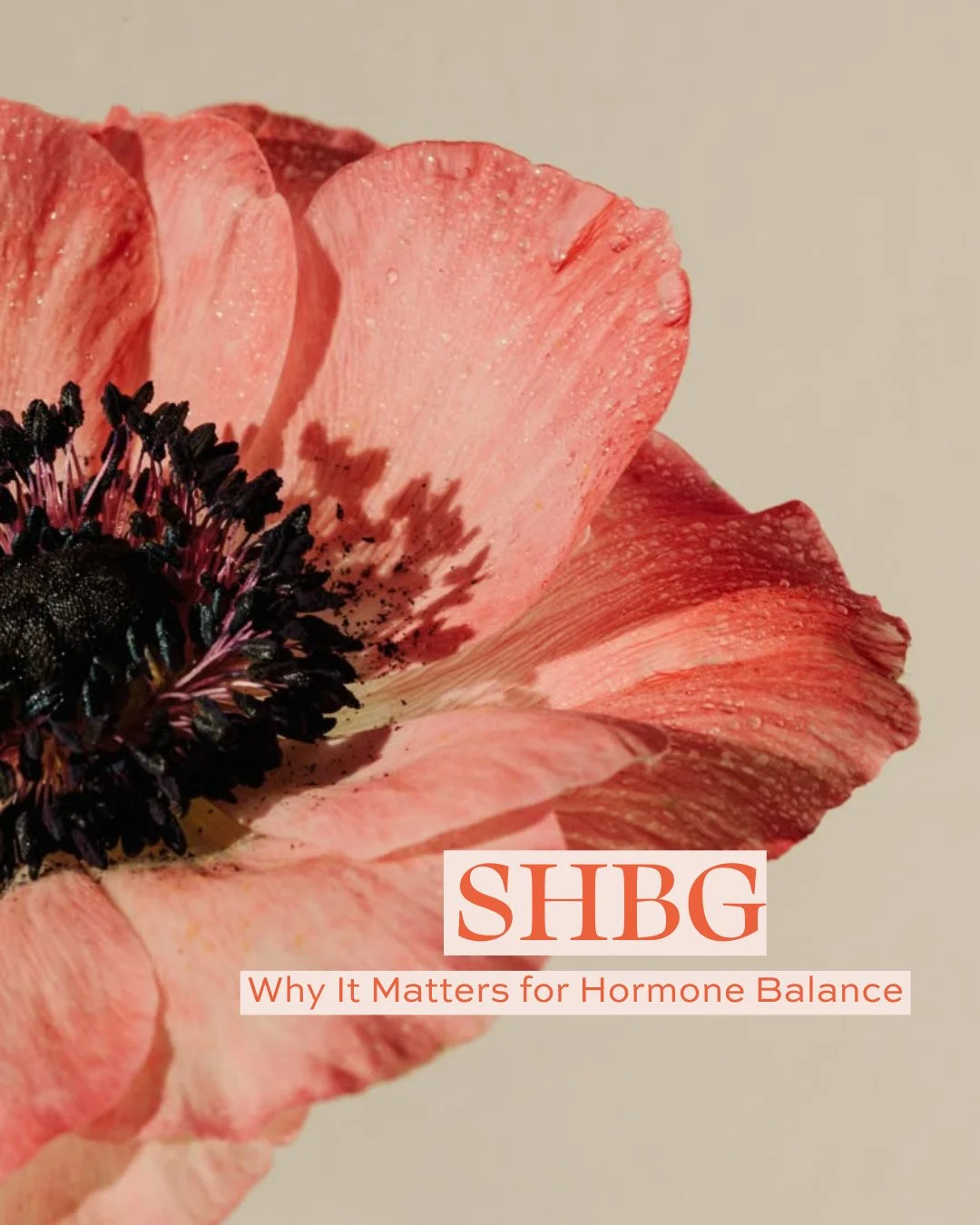 When we talk about hormones, most people think of estrogen, progesterone, or testosterone but there&rsquo;s another key player that often flies under the radar: SHBG, or Sex Hormone Binding Globulin.⁠
⁠
SHBG is a protein made by your liver, and its j