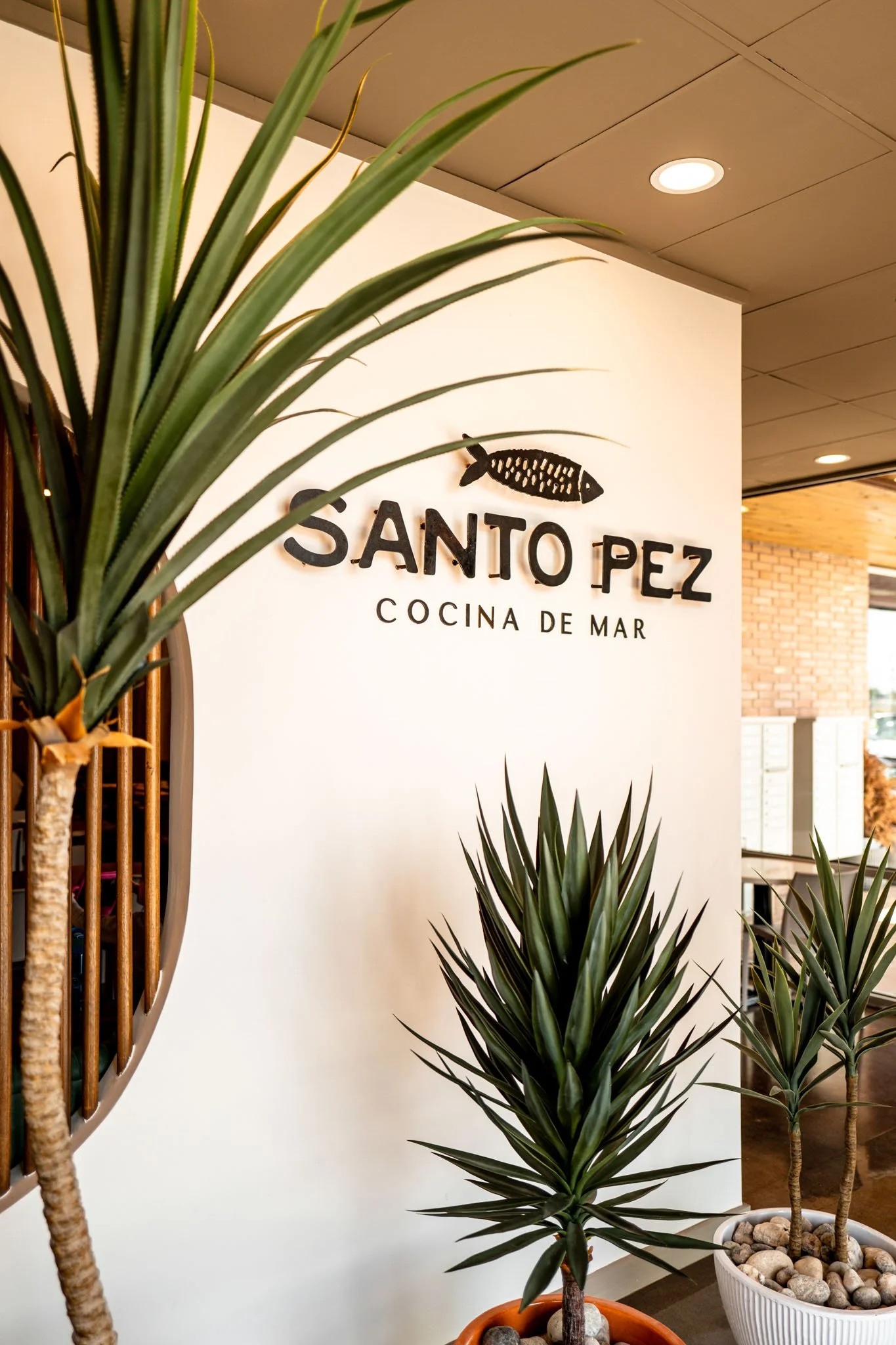 PortafolioKL Santo Pez 26.jpg