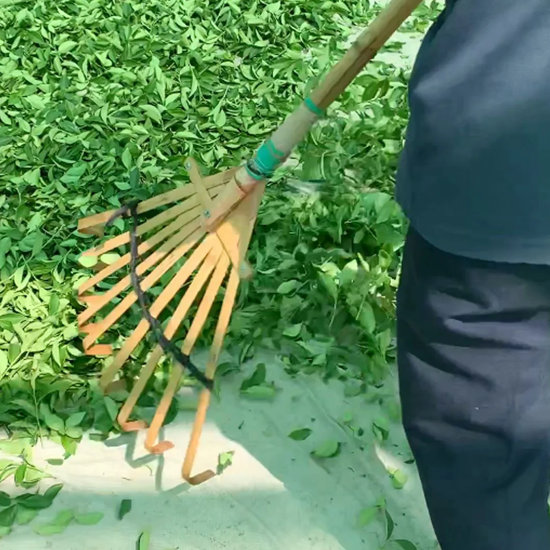 flipping-tea-leafs.jpg