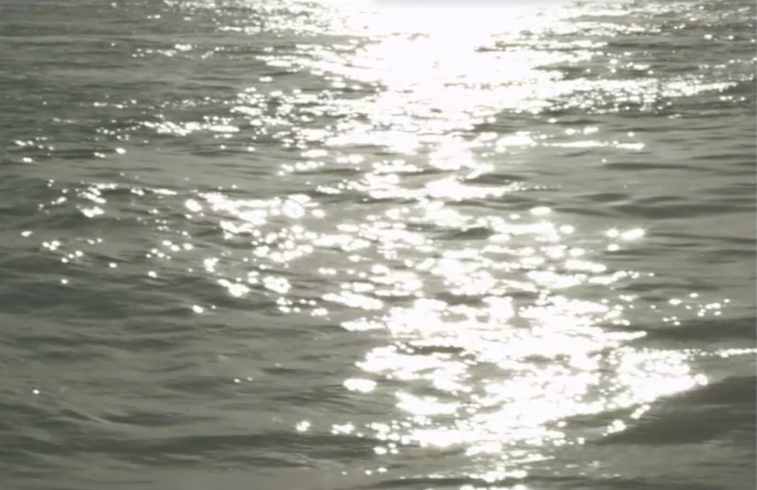 RF PROJECT MSW_BY THE SEA.png