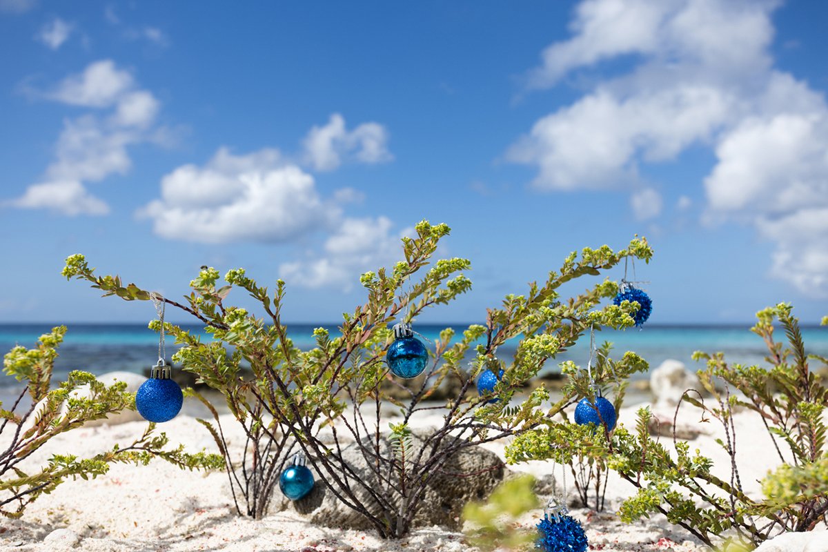 Vanuatu christmas 2025