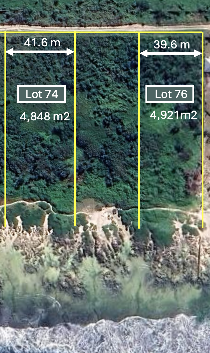 Lot 74 and Lot 76.png