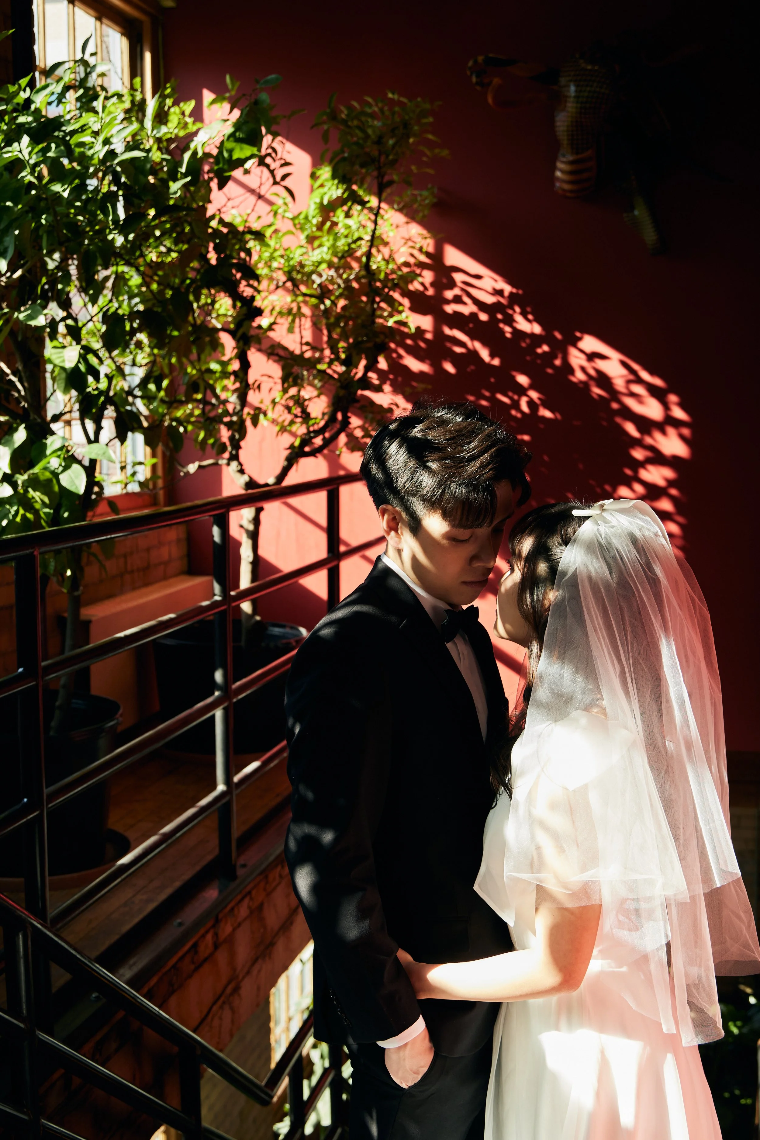 A young couple dressed in wedding attire, holding hands and leaning close indoors with sunlight casting shadows and a pink wall behind them.