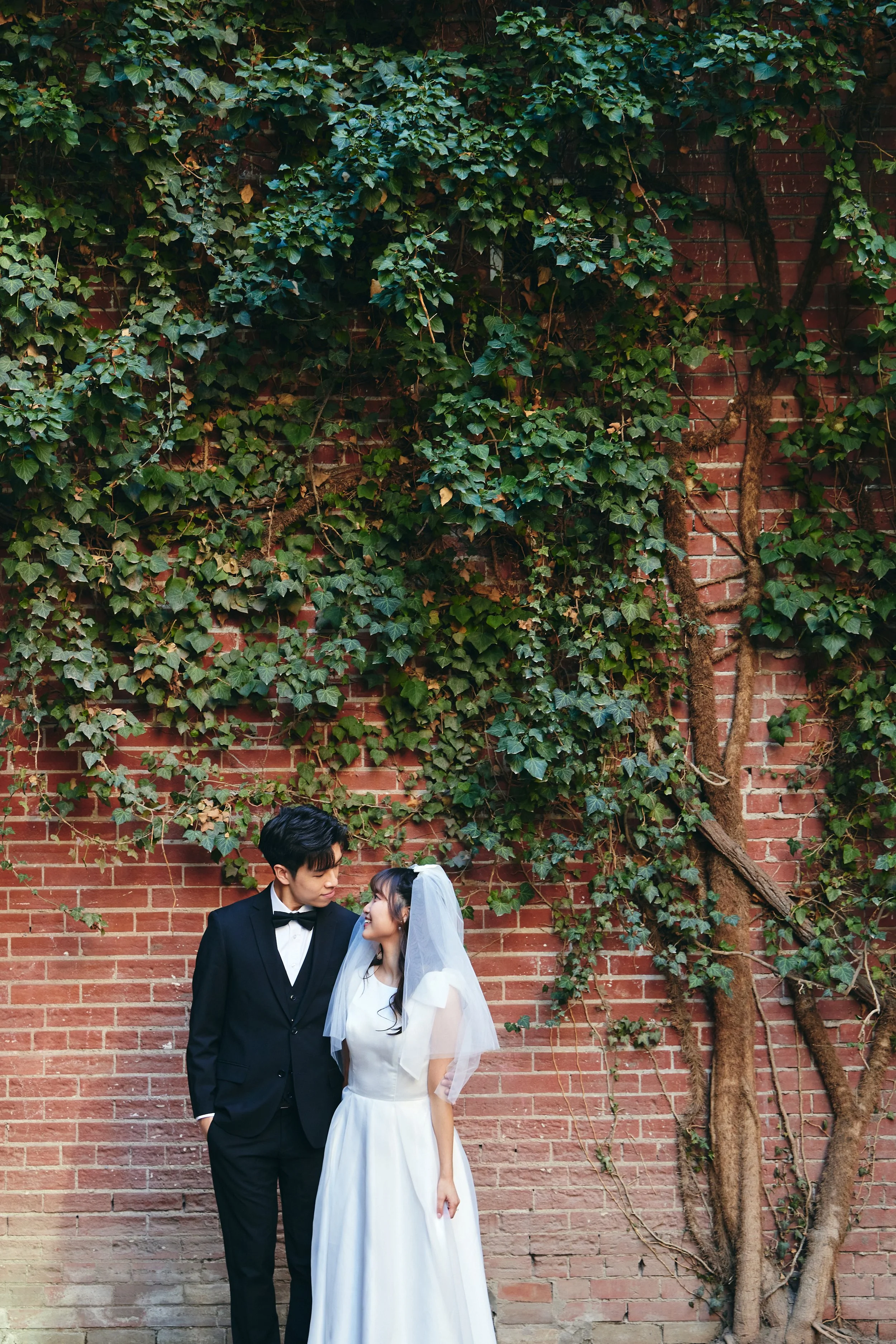 A bride and groom standing close together against a brick wall with green ivy growing on it. The groom is dressed in a black tuxedo with a bow tie, and the bride is in a white wedding dress with a veil. They are looking at each other lovingly.