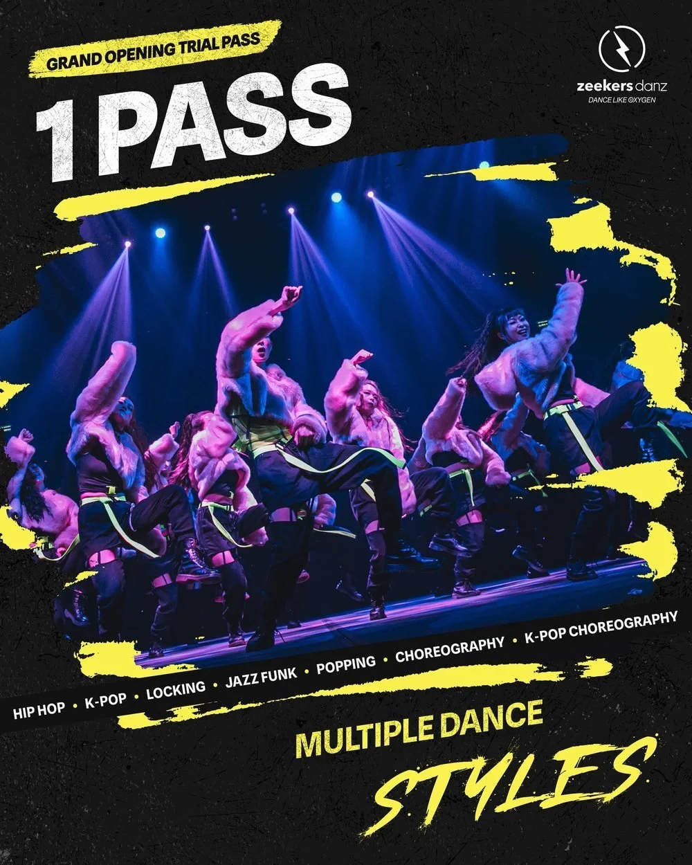 A ZeekersDanz poster that reads 1 PASS and multiple dance styles, over a photo of dancers on stage.