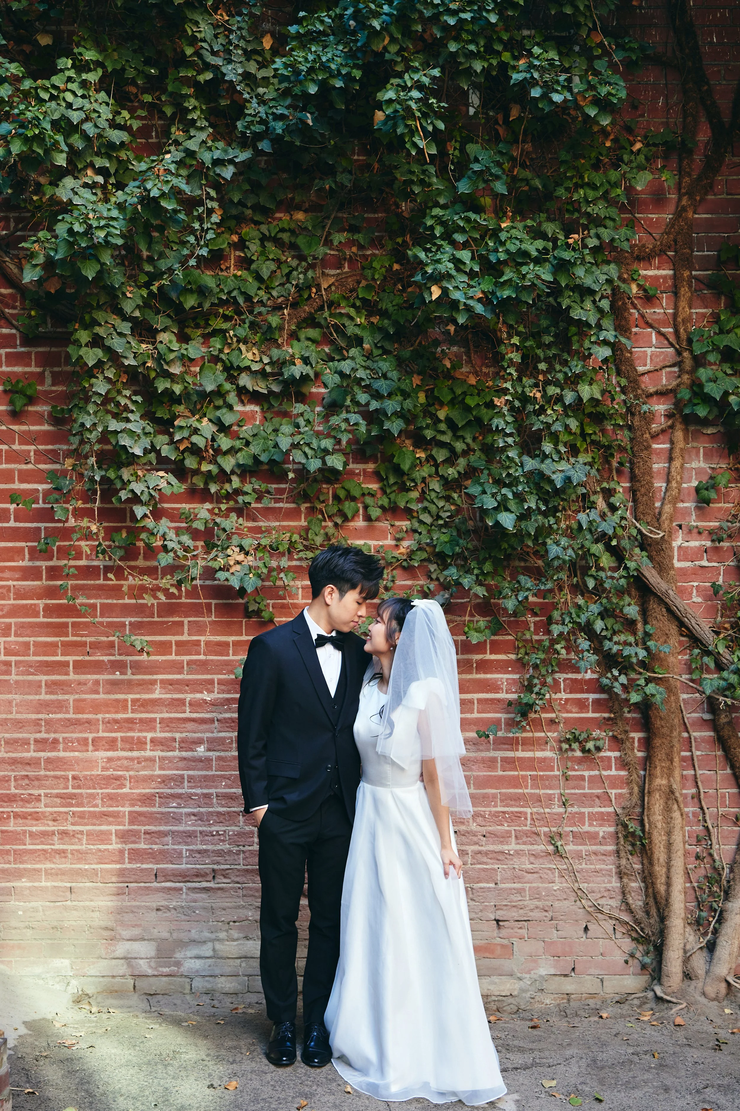 A bride and groom stand close together in front of a brick wall covered with green ivy, gazing at each other.