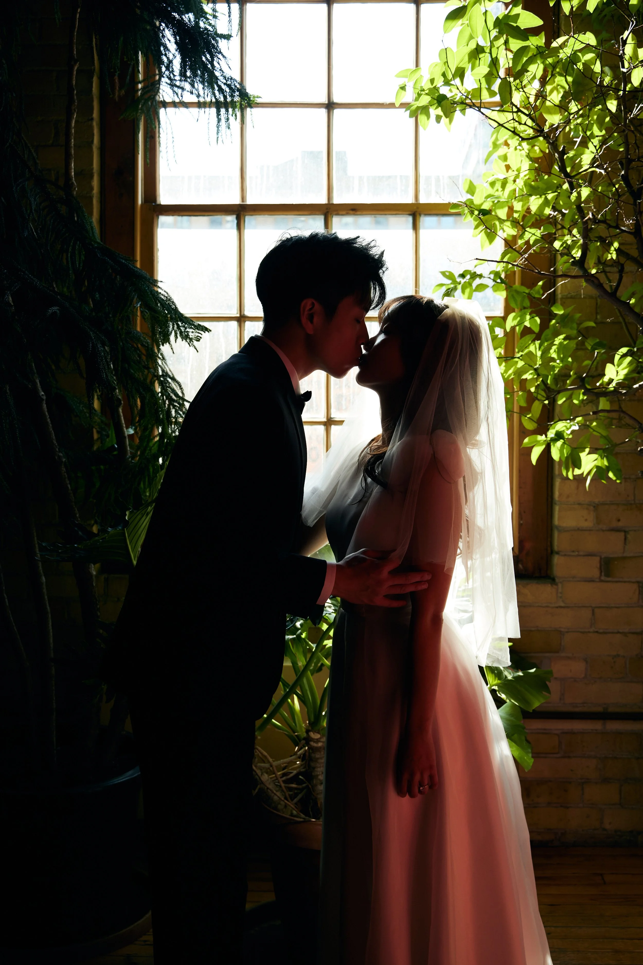 A silhouette of a bride and groom sharing a kiss in front of a large window with natural light, surrounded by green plants and a brick wall.