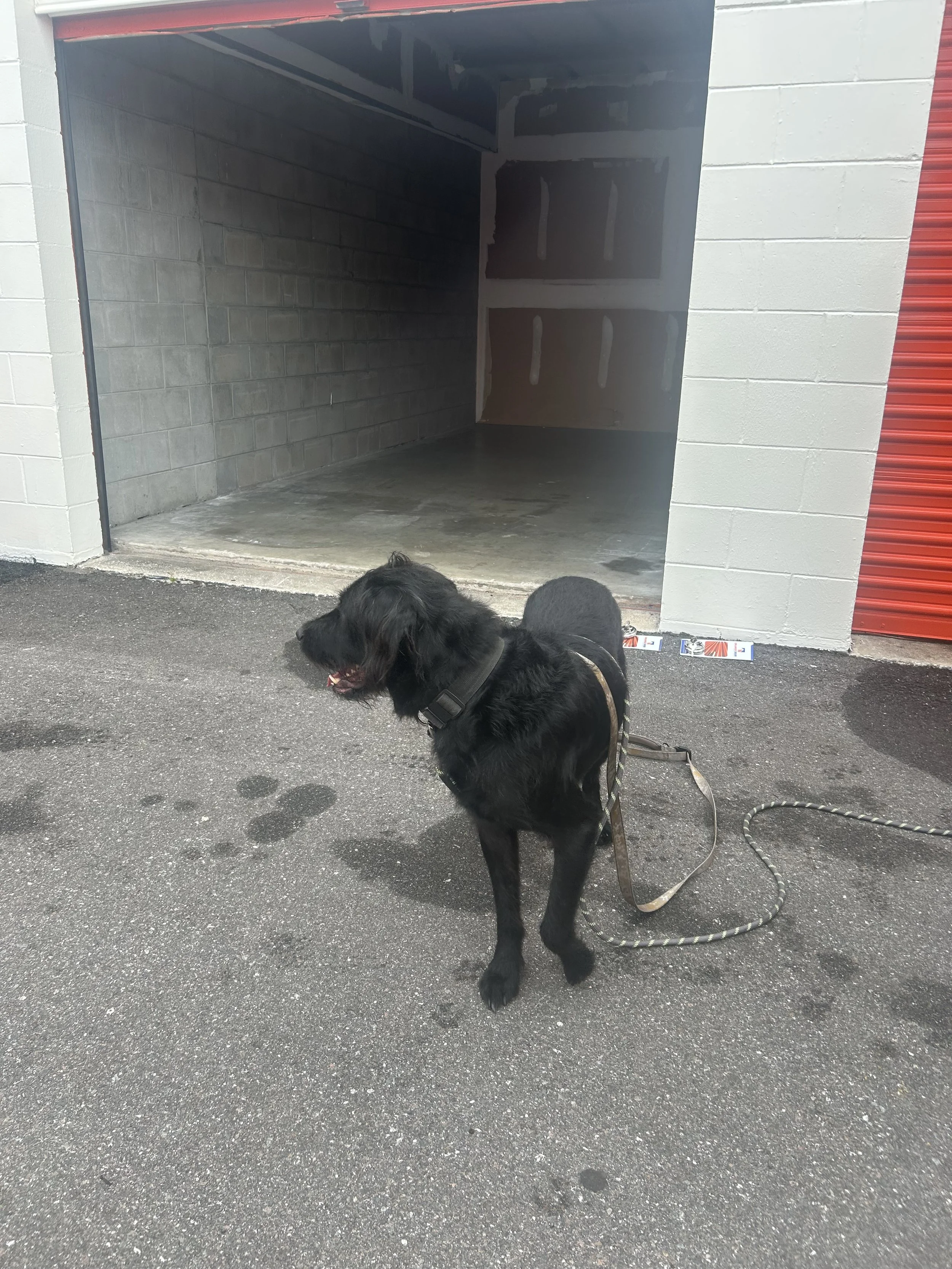 Day 2 — Finding Our Rhythm